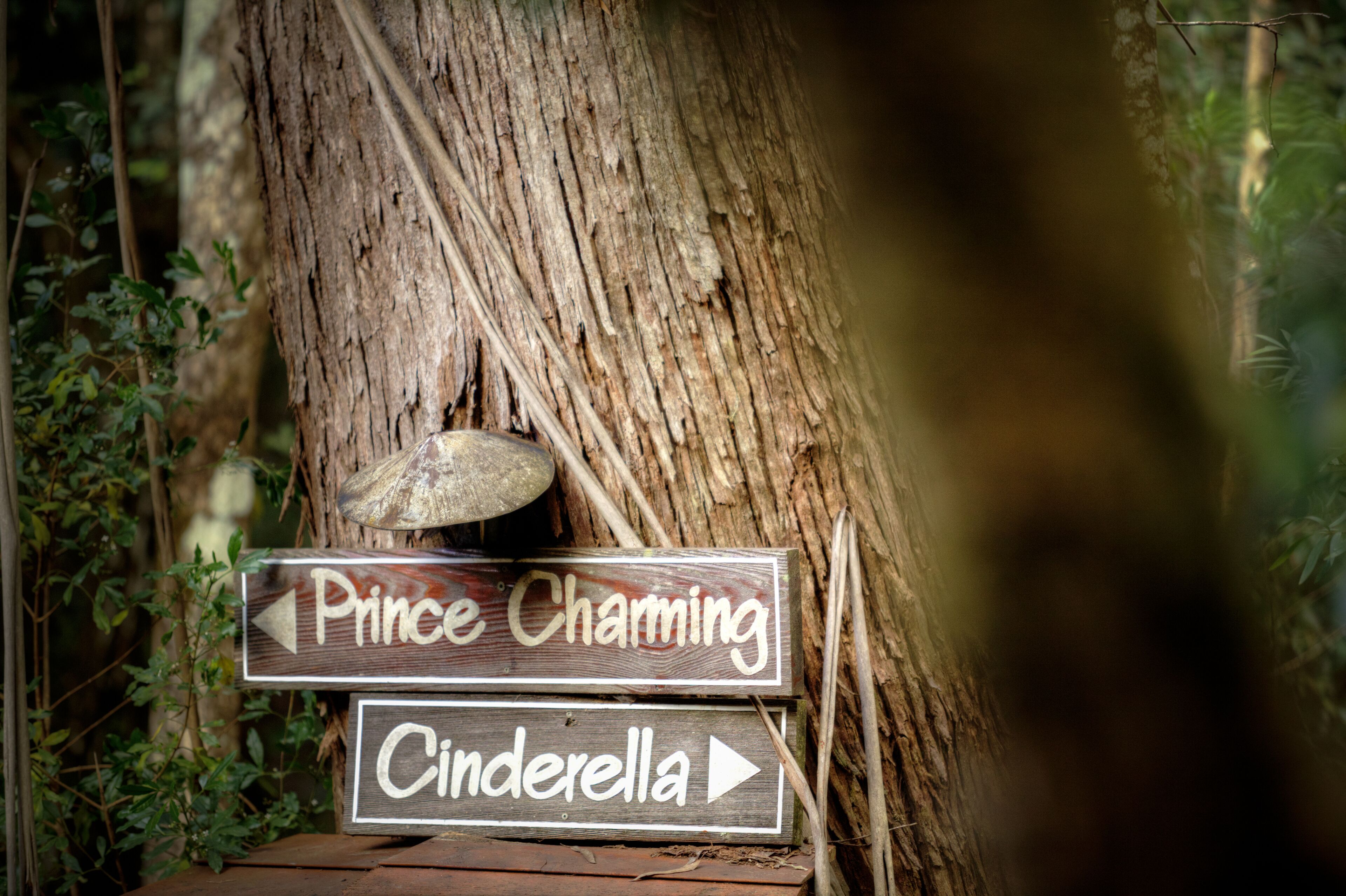 The Mouses House Rainforest Retreat