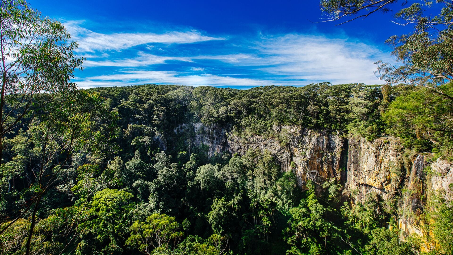 The Mouses House Rainforest Retreat