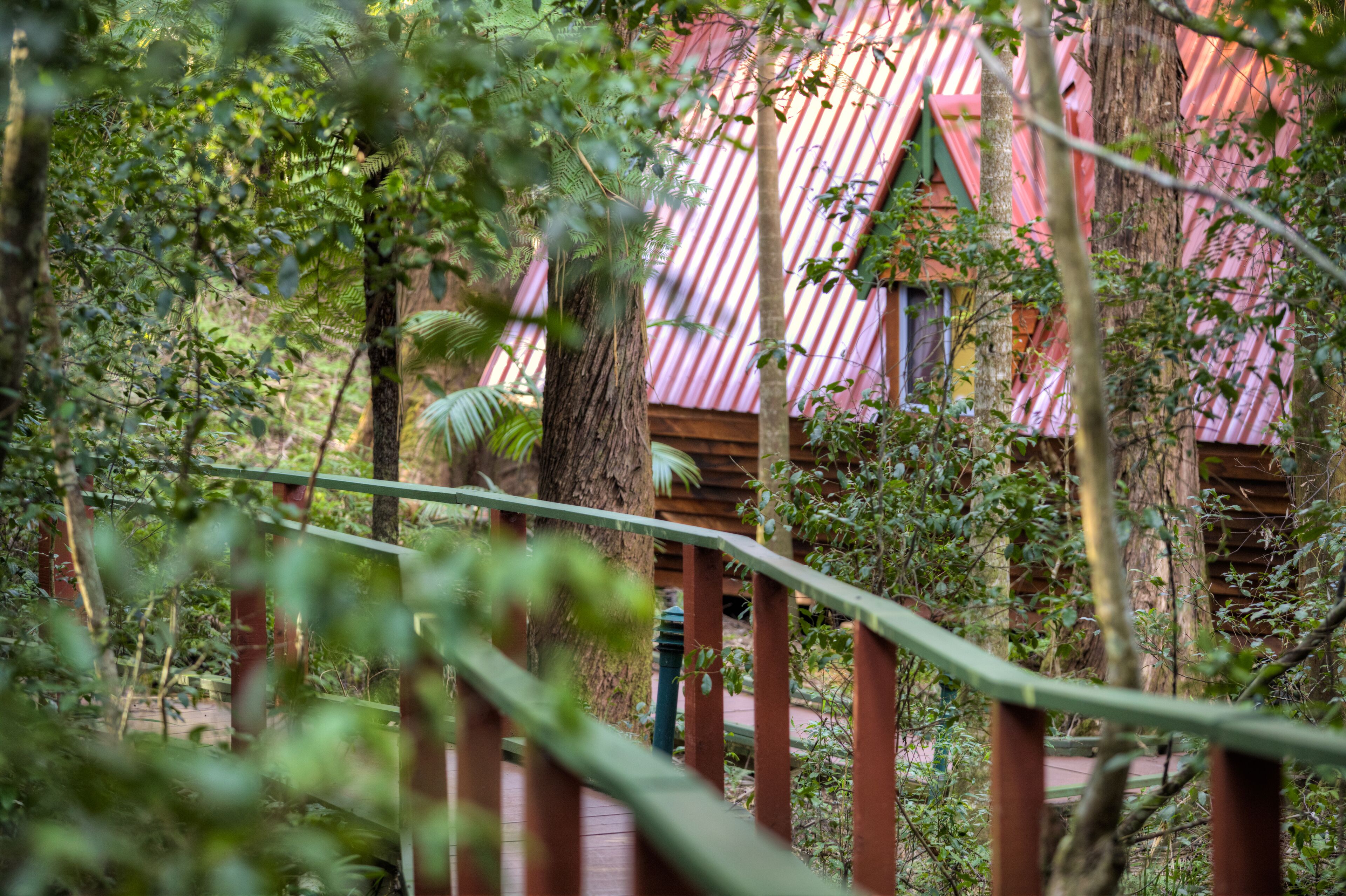 The Mouses House Rainforest Retreat