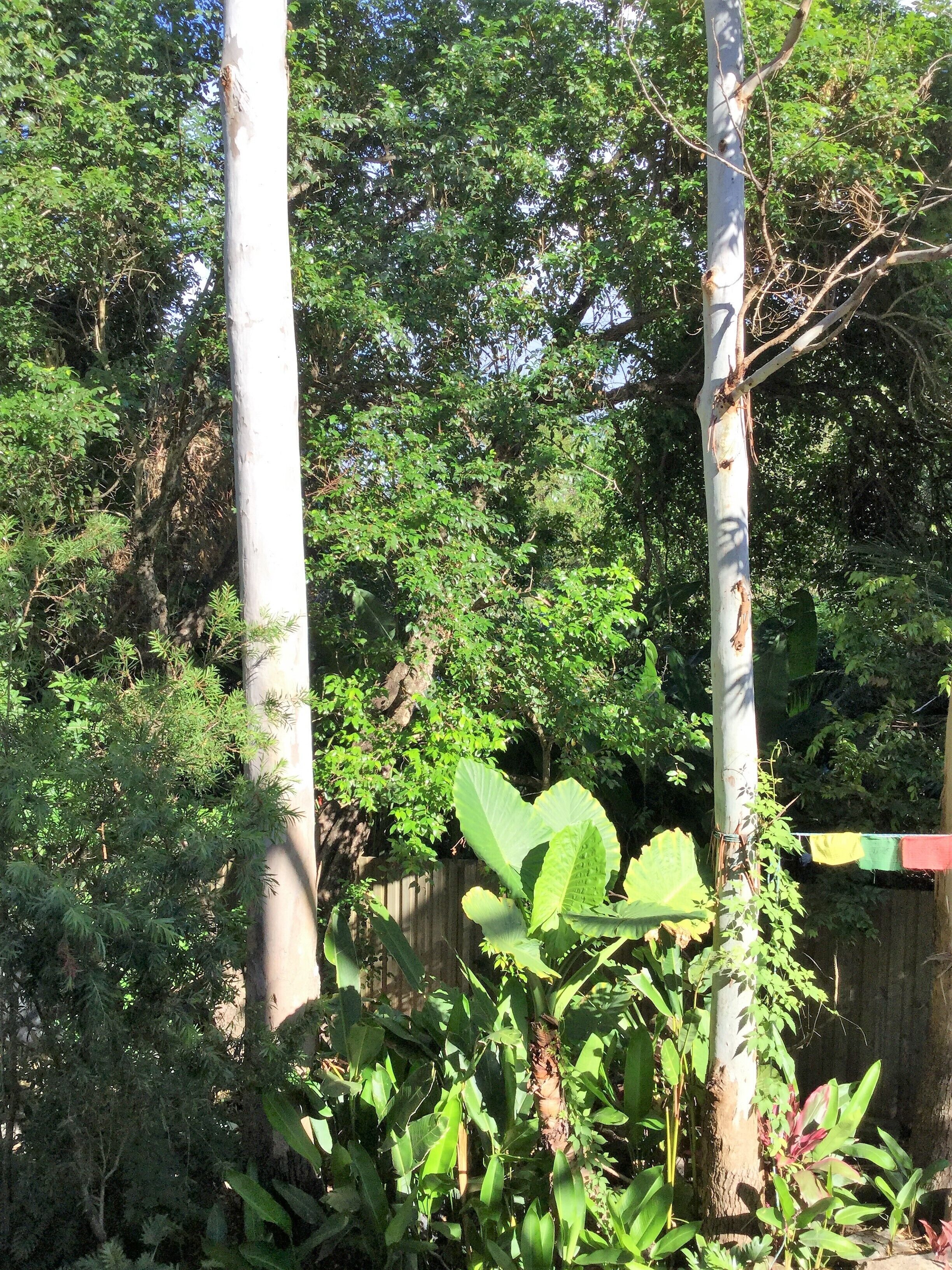 Private Haven, Walk to Town, Walk to Beach