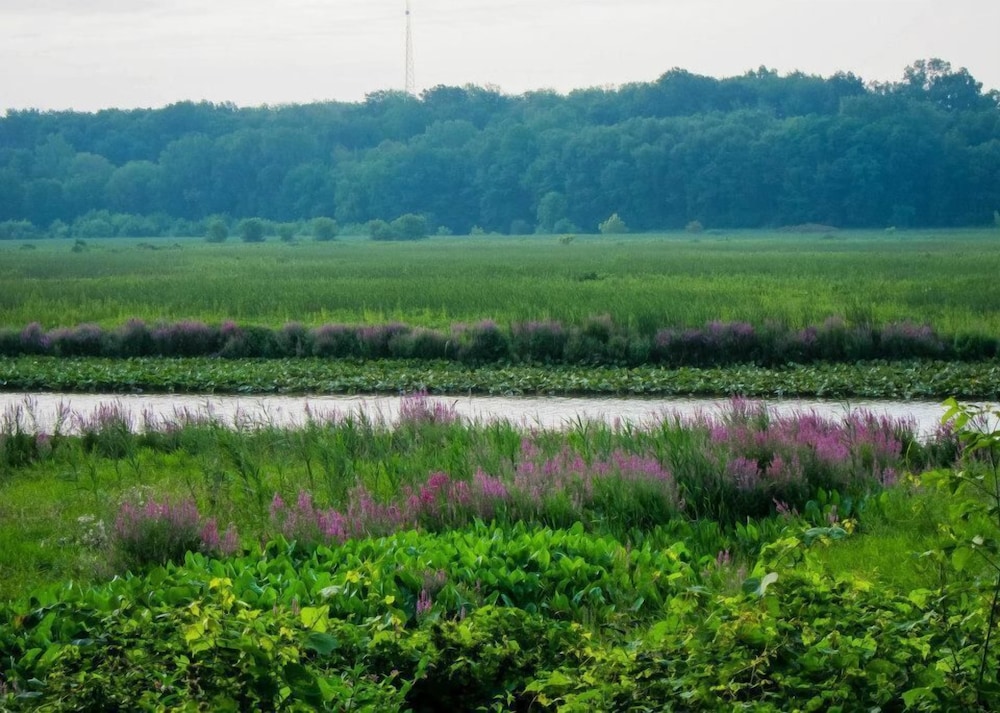 OUR LAST SUMMER AVAILABILITY . . . Prime Beach Time,  7 blocks from beach