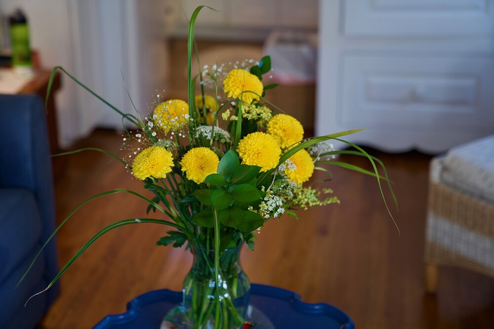 Charming Pet Friendly Studio Cottage On Quiet Lane Rockport Vrbo