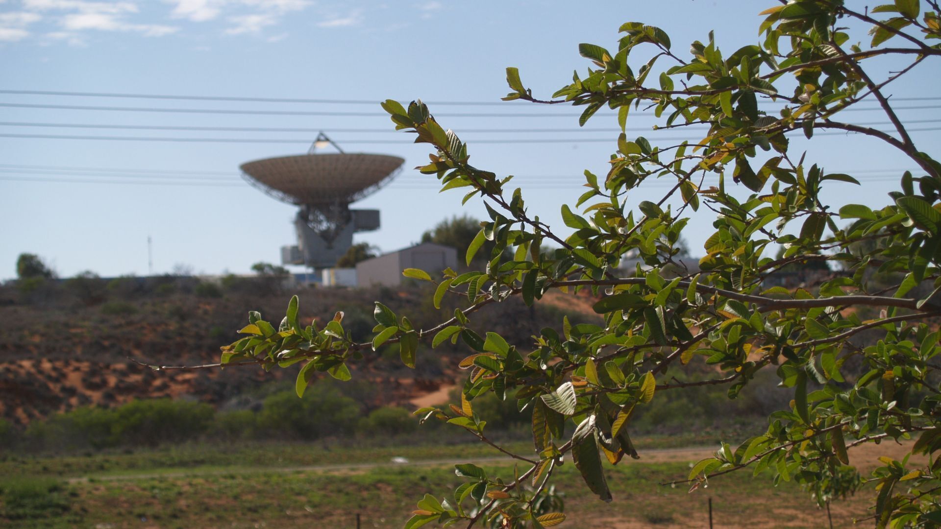 Tropical Farm Stay Holiday House