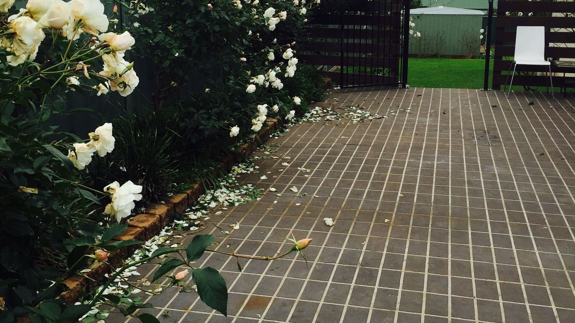 Macquarie Lodge - Luxury 3 bedroom house