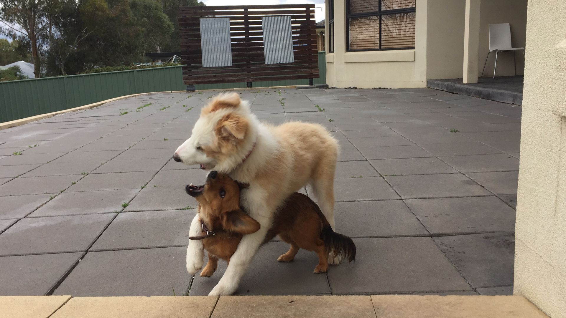 Macquarie Lodge - Luxury 3 bedroom house