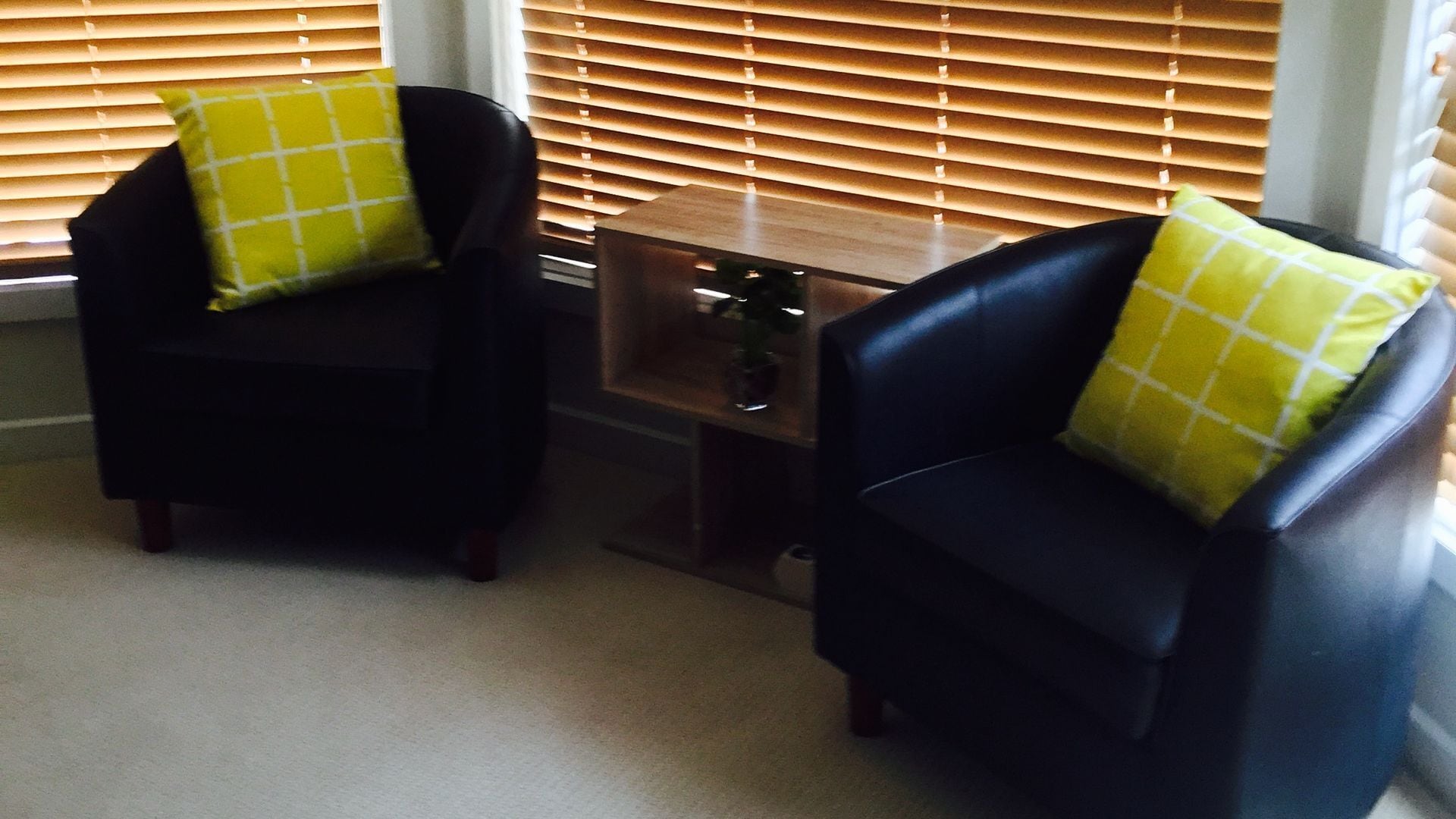 Macquarie Lodge - Luxury 3 bedroom house