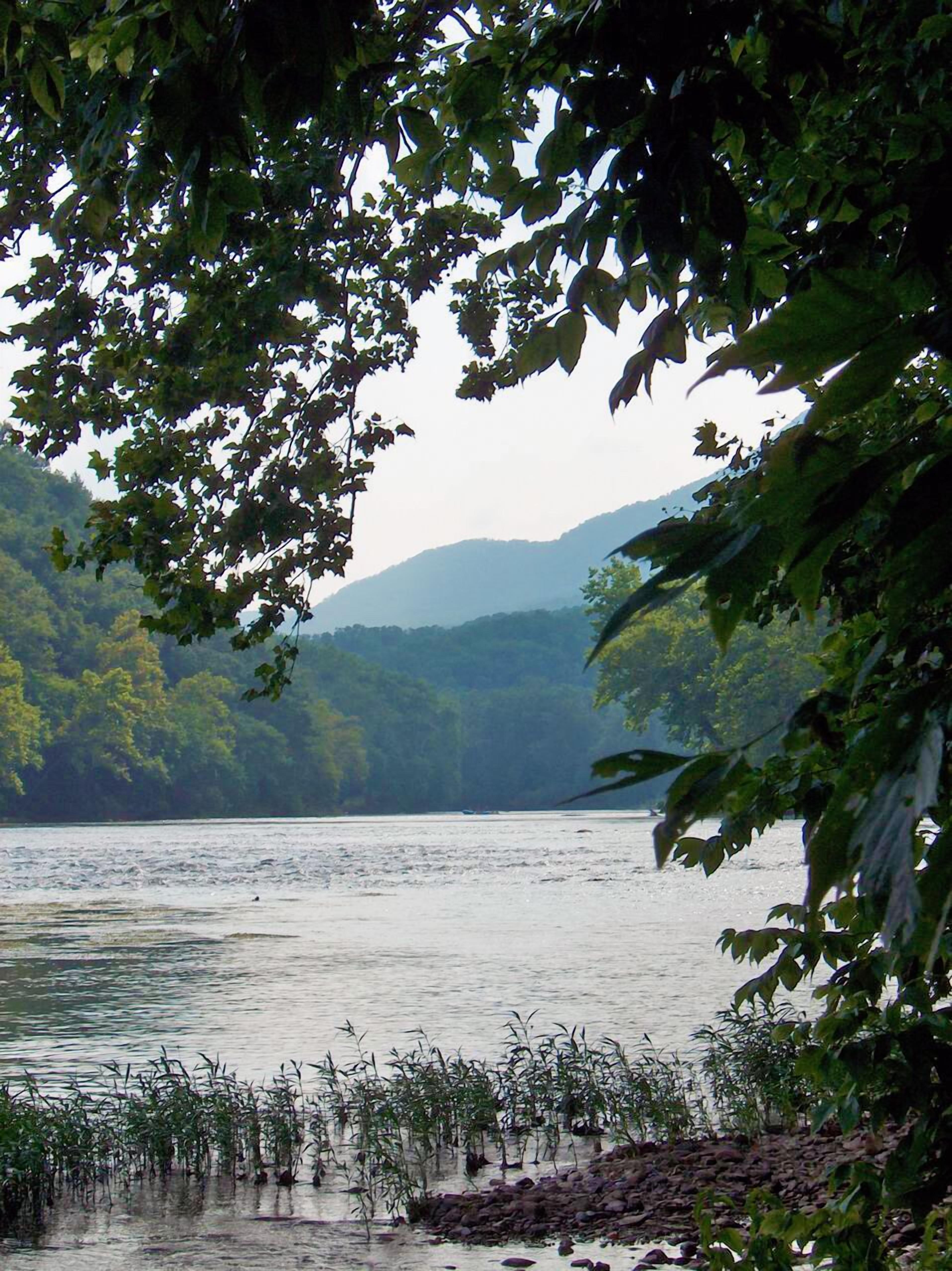 Beautiful Cabin Near Shenandoah River Outfitters 2020 Room Prices