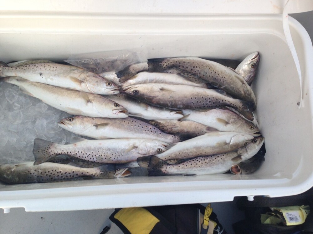 CAMP COCODRIE Premier Waterfront Fishing and Hunting Lodge, Chauvin