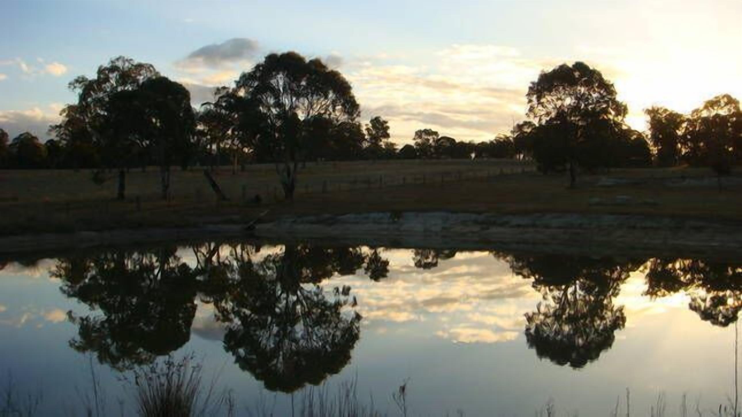 Alpine Lodges Stanthorpe