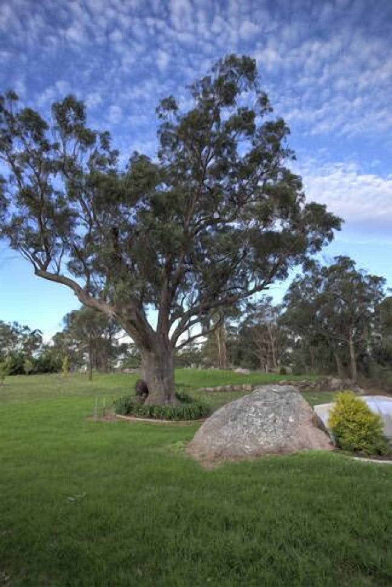 Alpine Lodges Stanthorpe