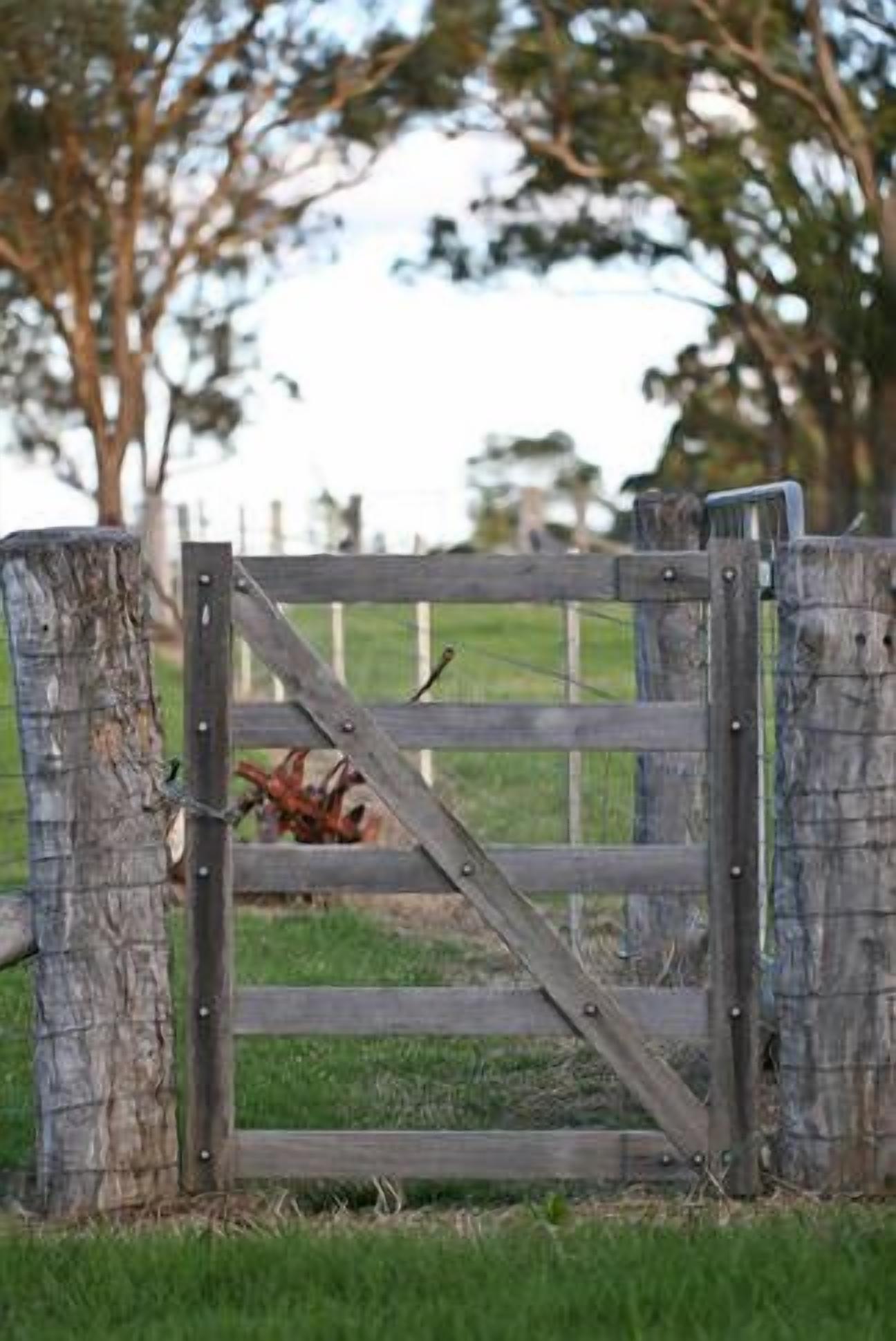 Alpine Lodges Stanthorpe