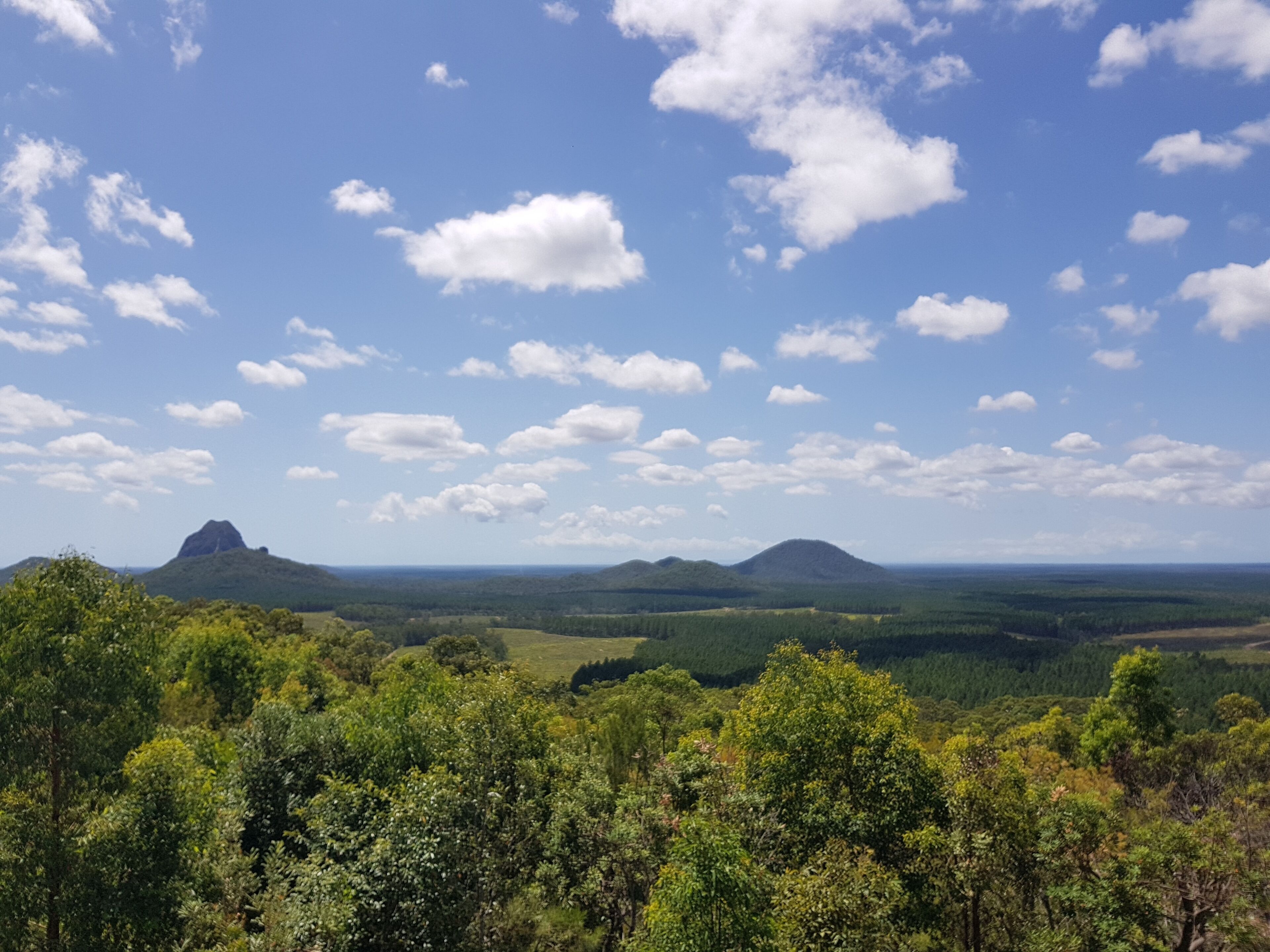 Australia Zoo, Glass House Mountains and Surrounds!