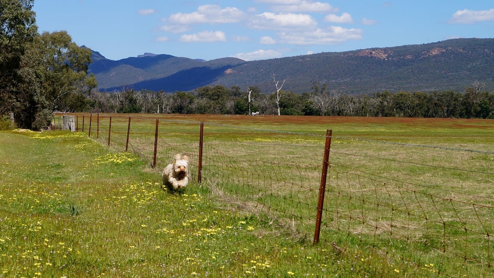 Enjoy 17 Acres of Private Land Boasting two Houses – pet and Family Friendly!