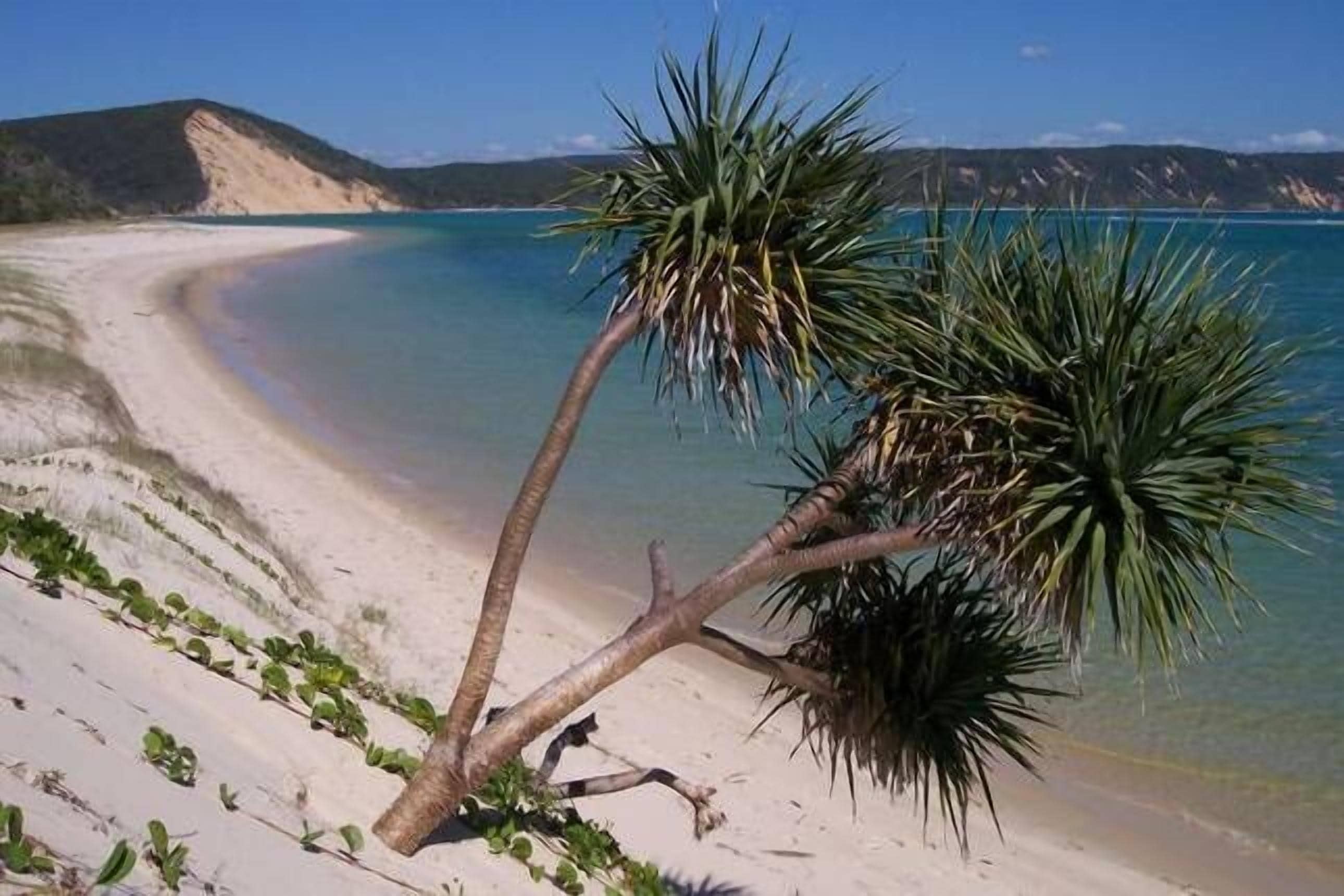 1 The Beach Loft - Rainbow Beach