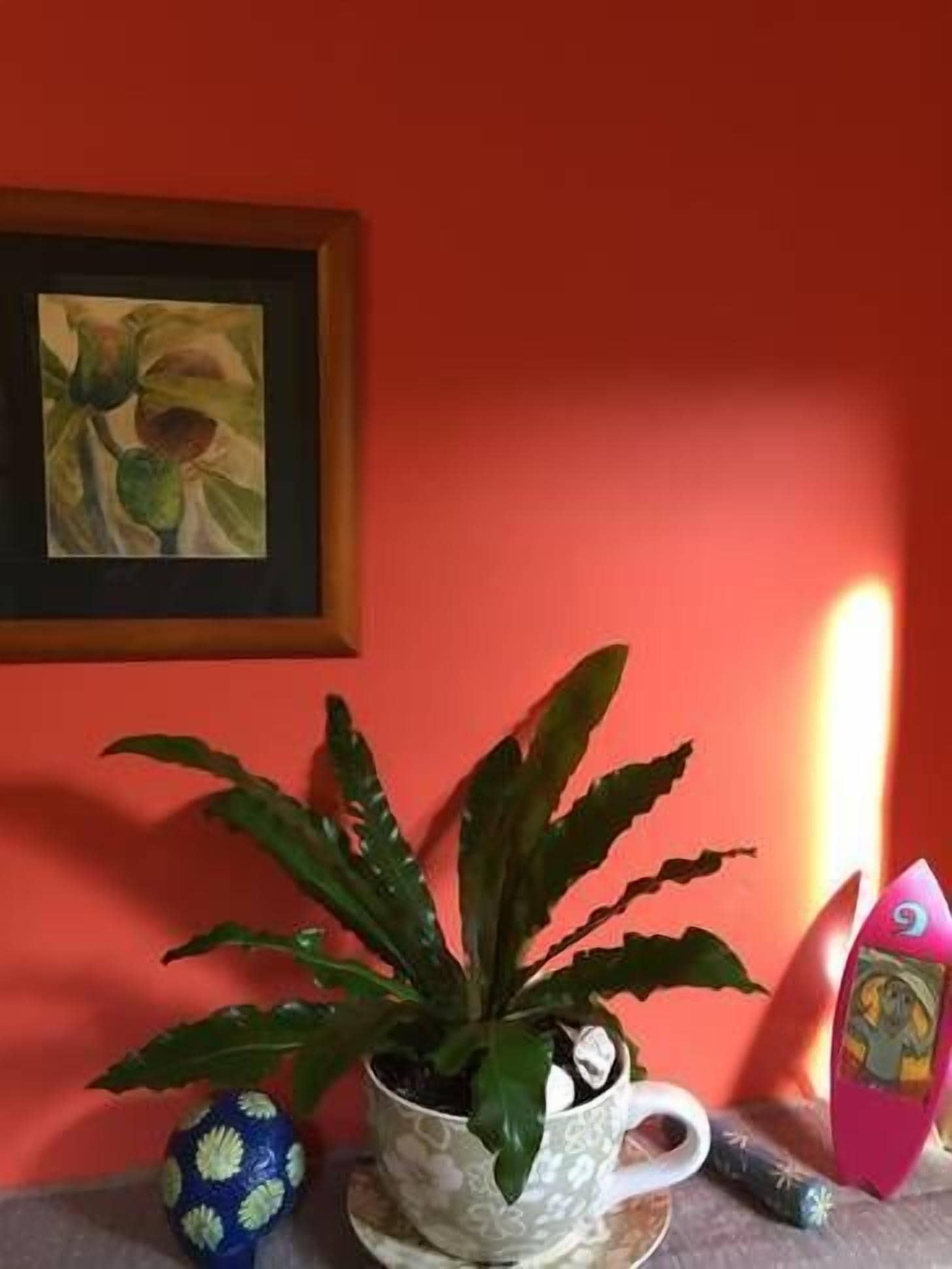 1 The Beach Loft - Rainbow Beach