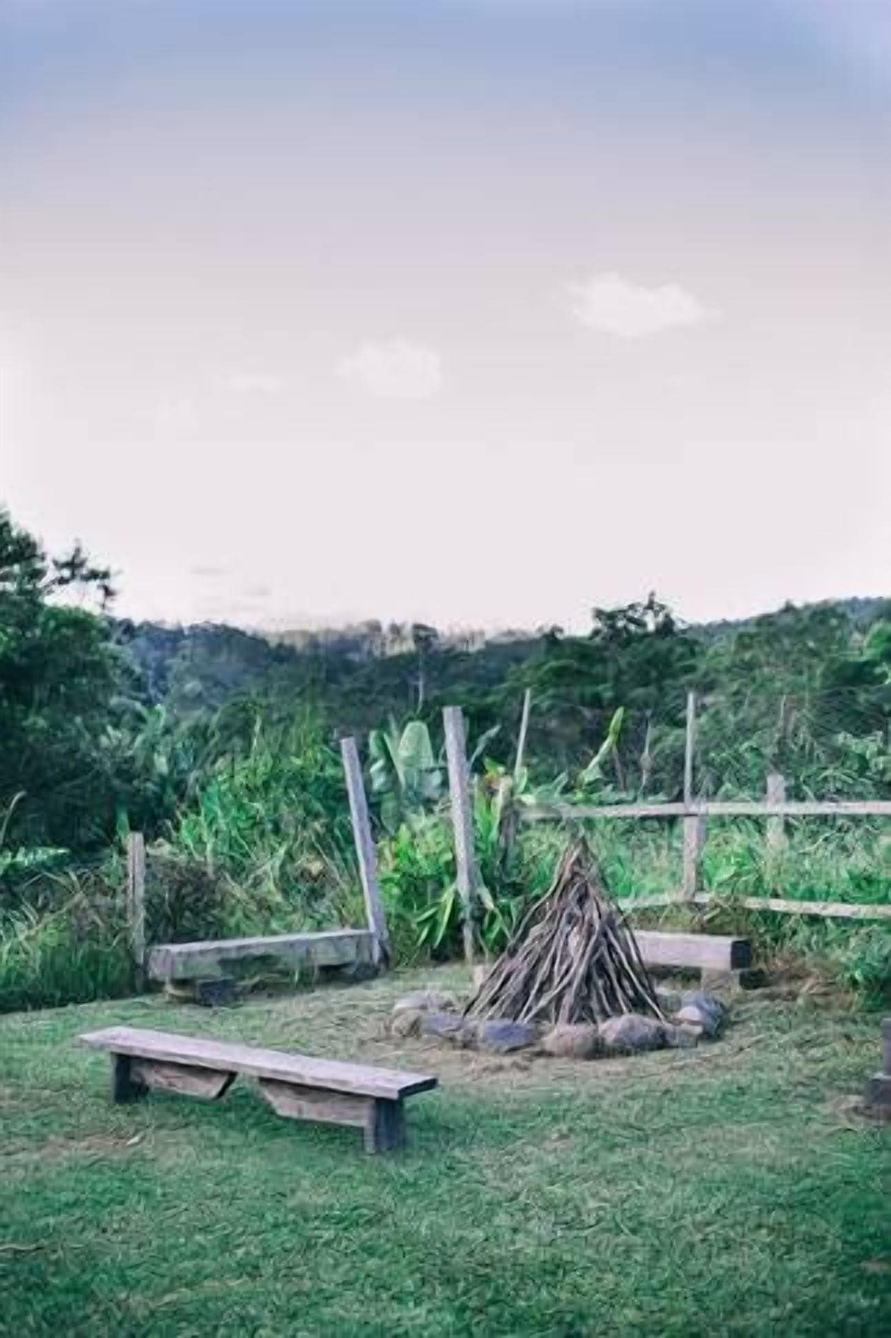 Bellingen Farm House: WeilHouse Living