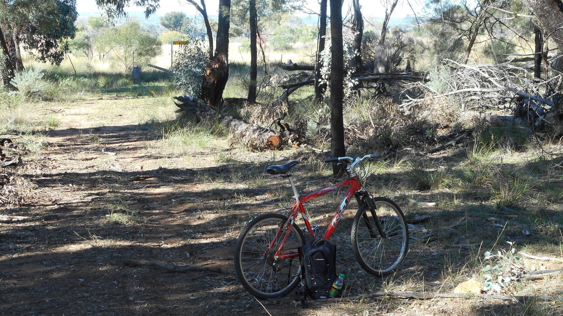 Dunedoo - Caddy Shack