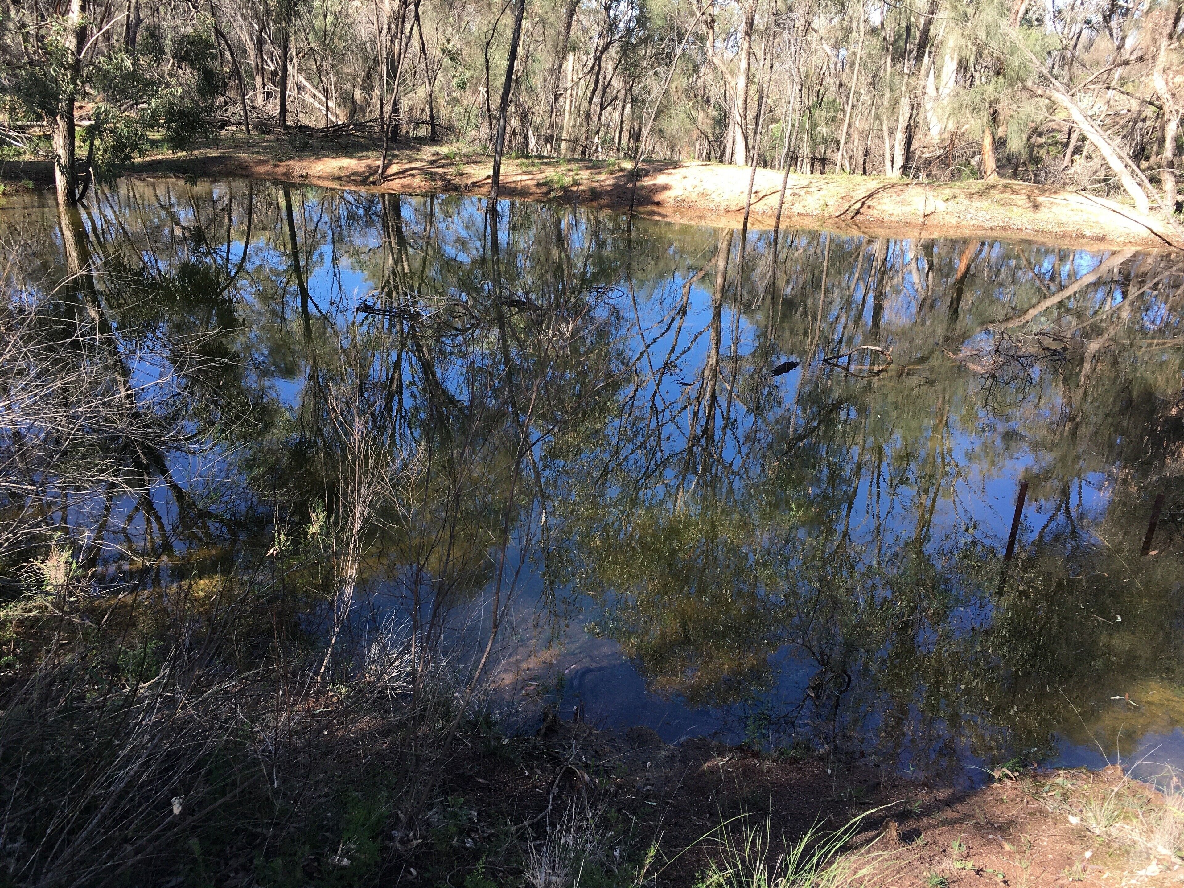 Didgy Ridge - Peaceful Country Cottage