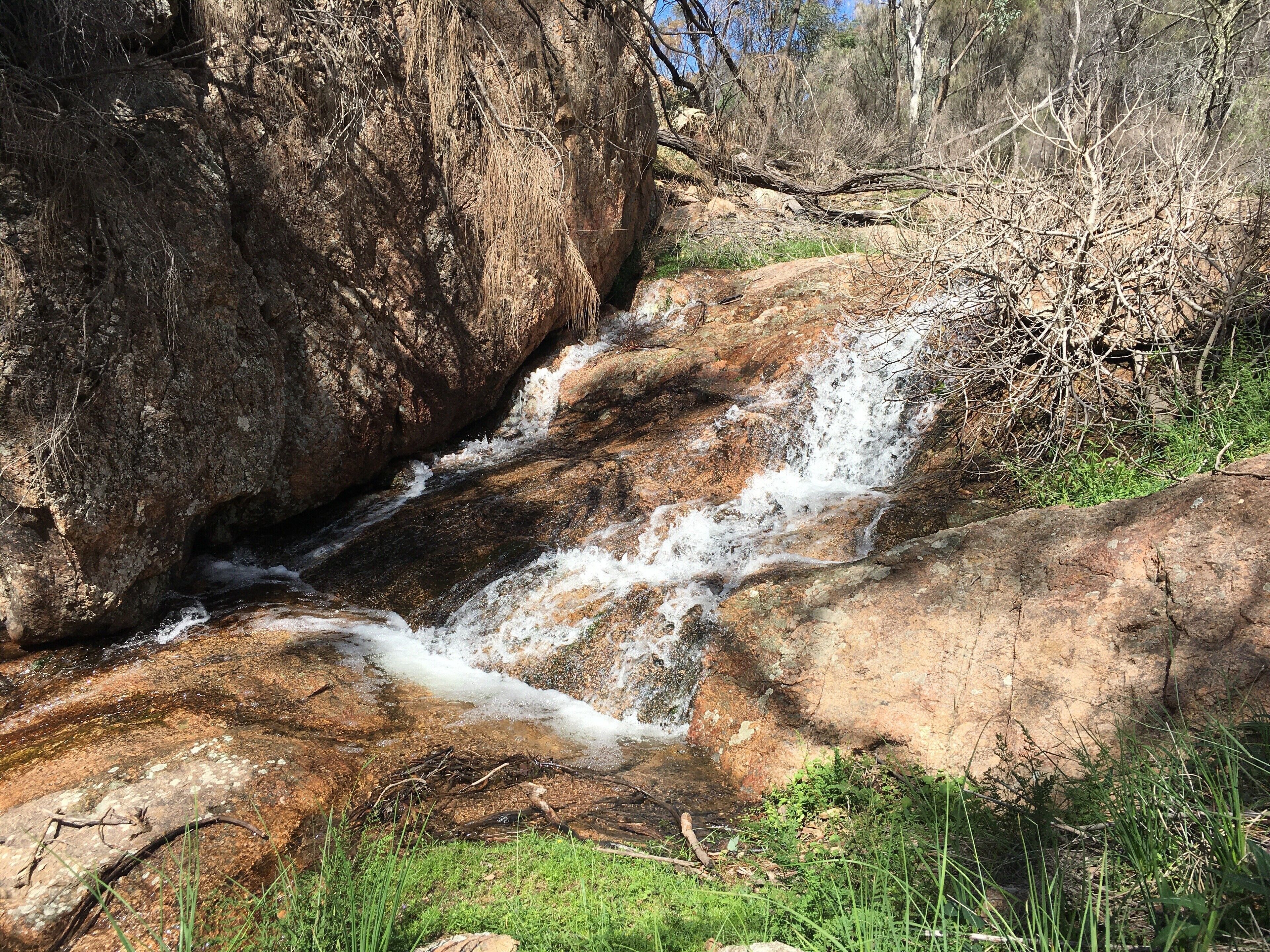 Didgy Ridge - Peaceful Country Cottage
