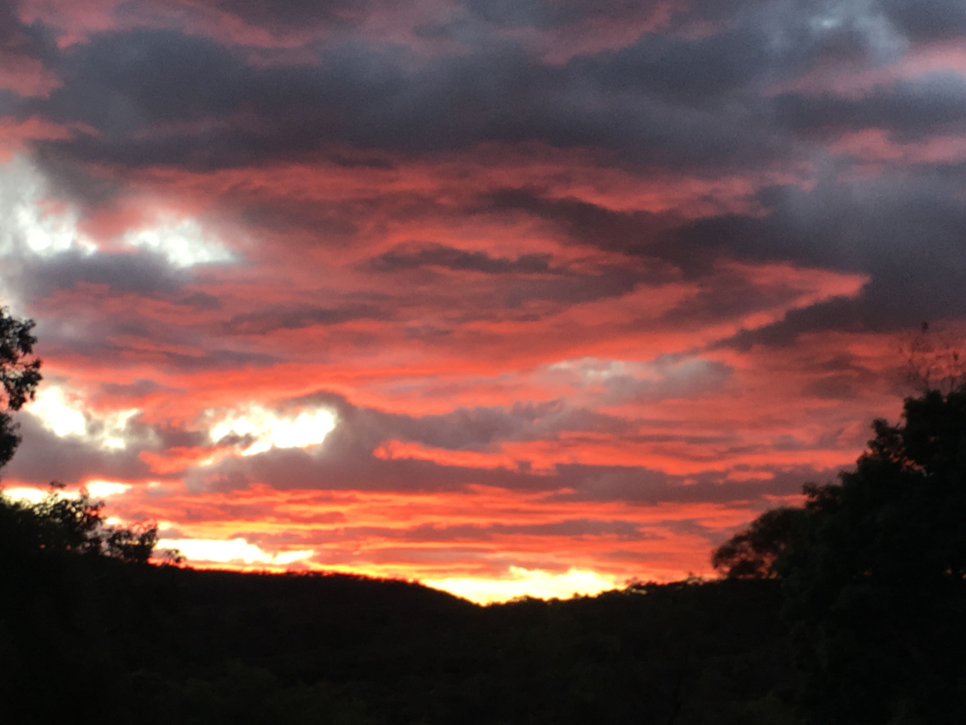 Didgy Ridge - Peaceful Country Cottage