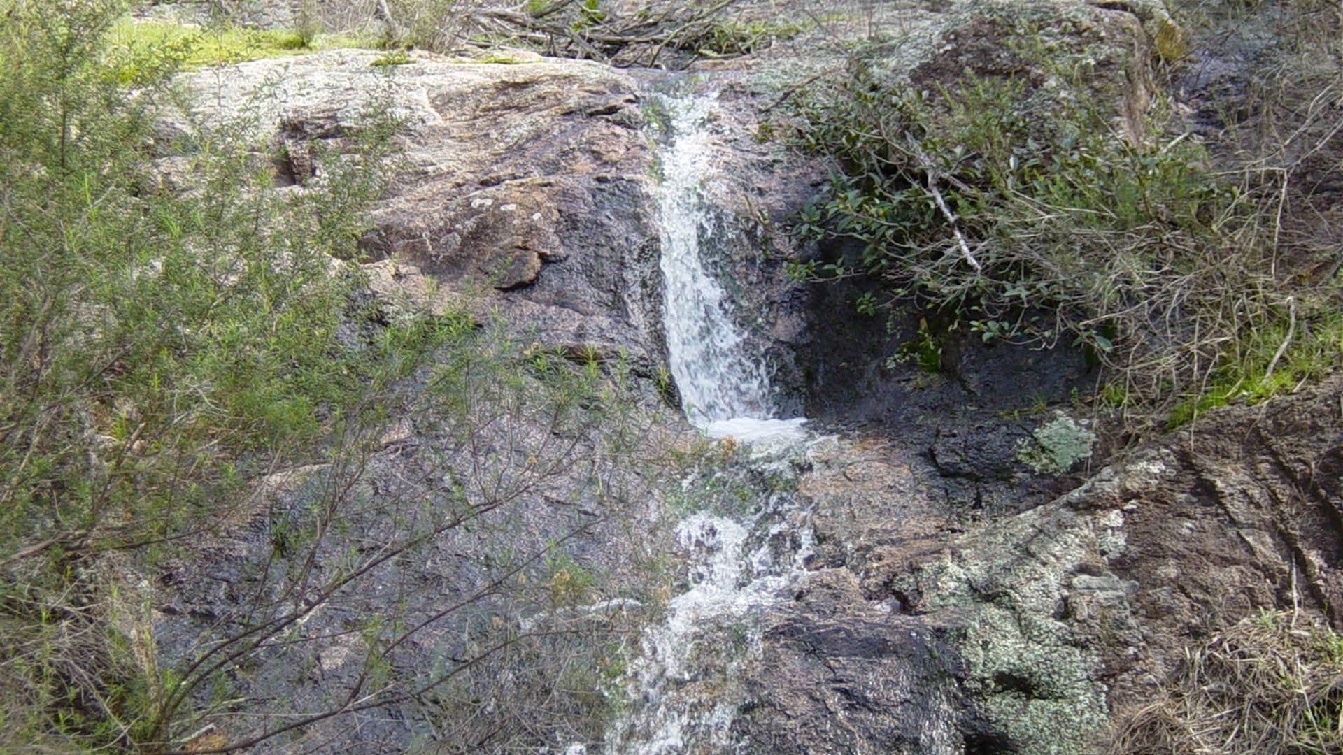 Didgy Ridge - Peaceful Country Cottage