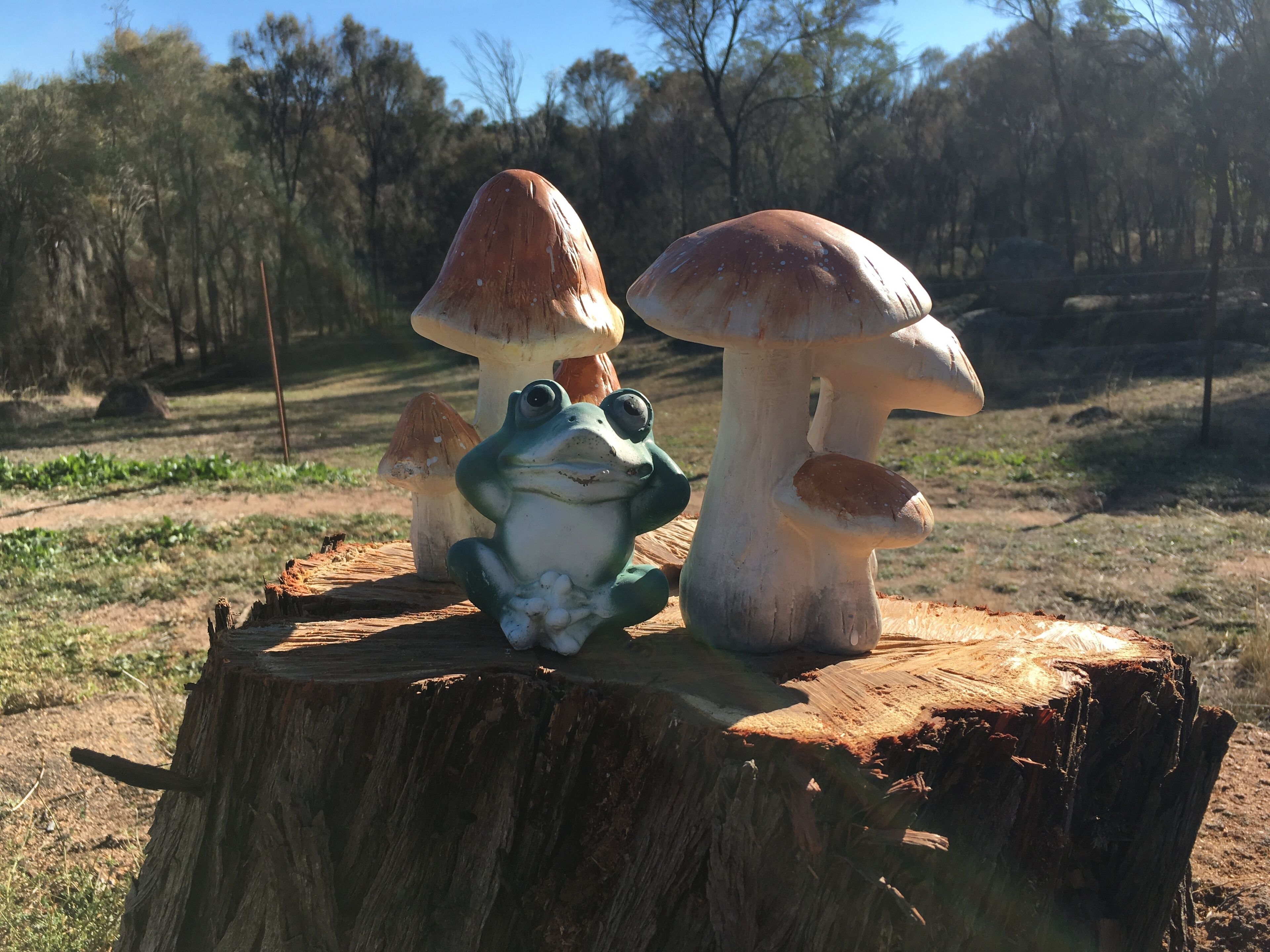 Didgy Ridge - Peaceful Country Cottage