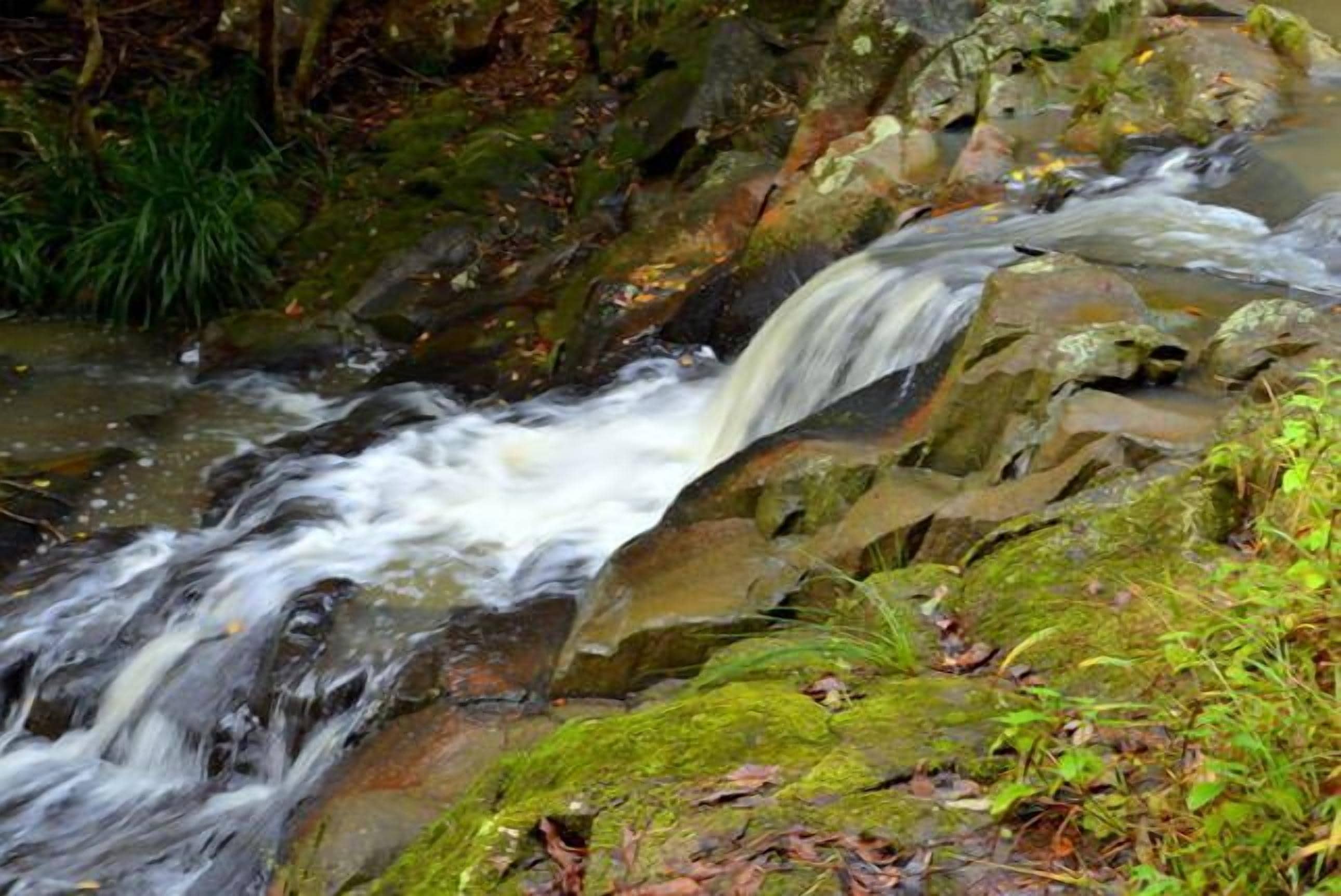 Waterfall Hideout-Rainforest Cabin for Couples