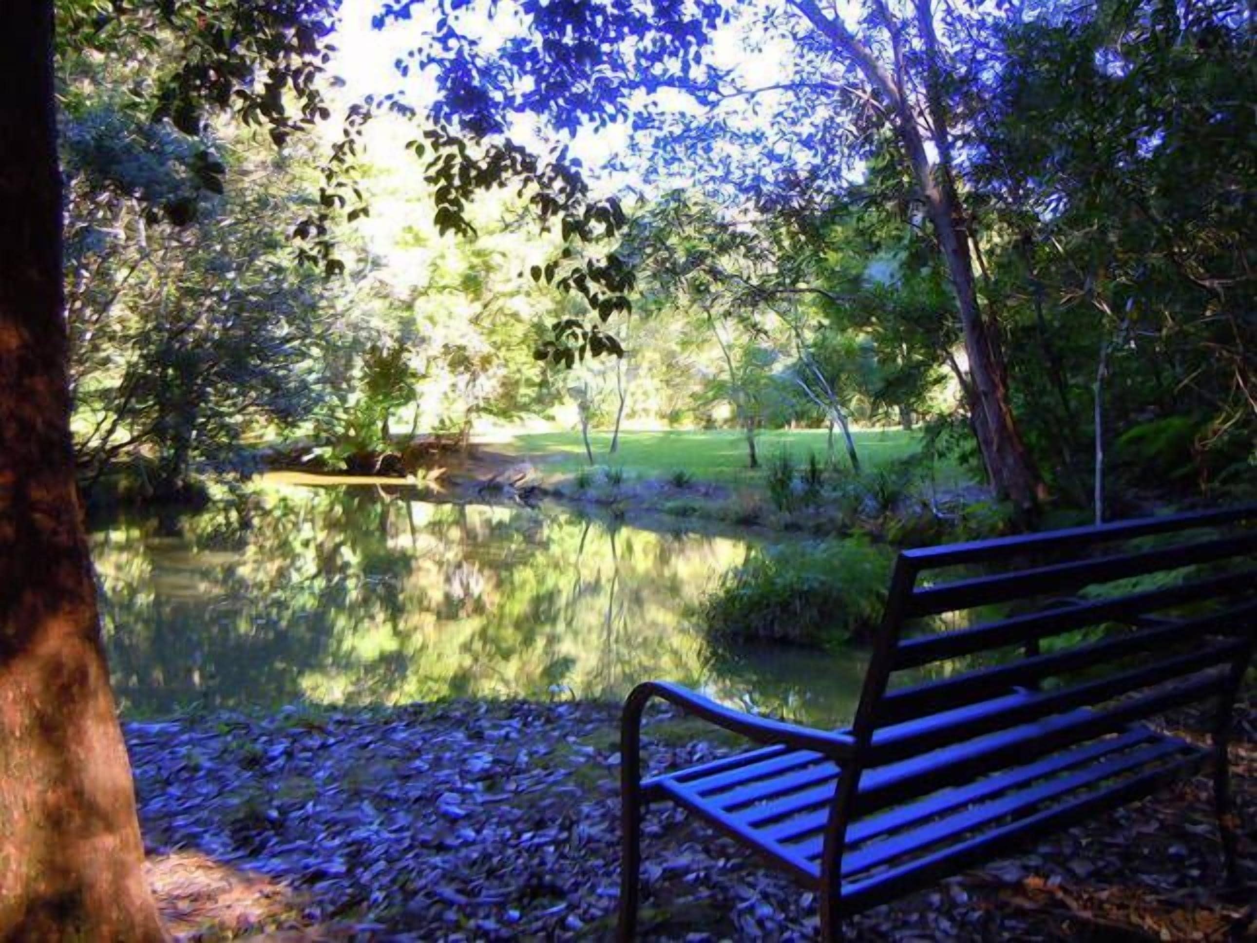 Waterfall Hideout-Rainforest Cabin for Couples