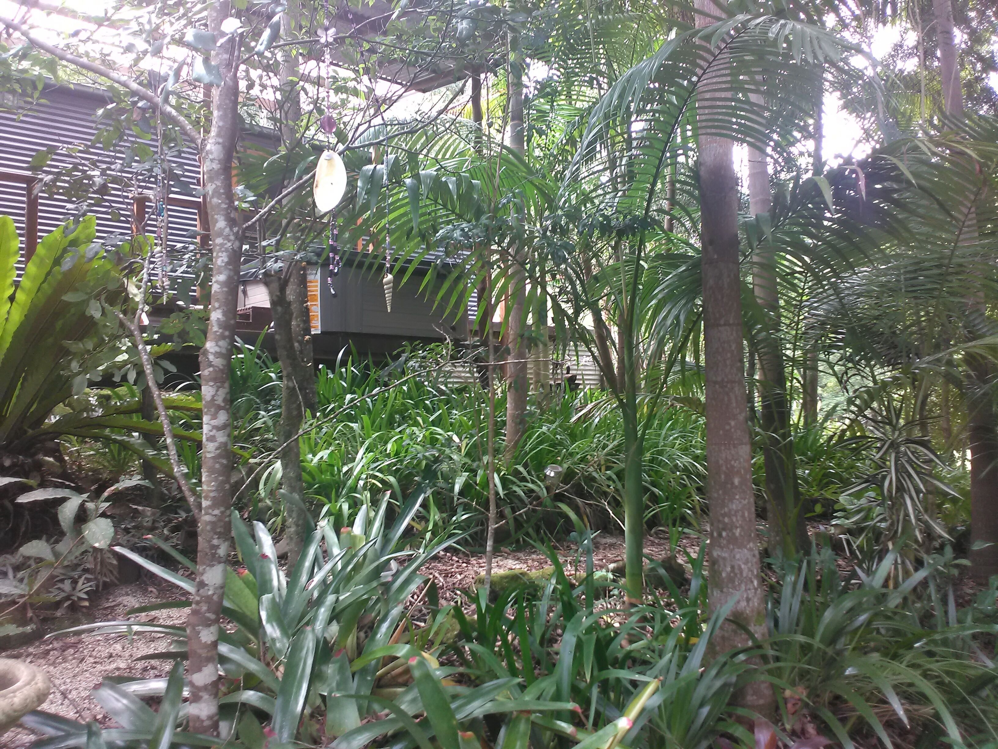 Waterfall Hideout-Rainforest Cabin for Couples