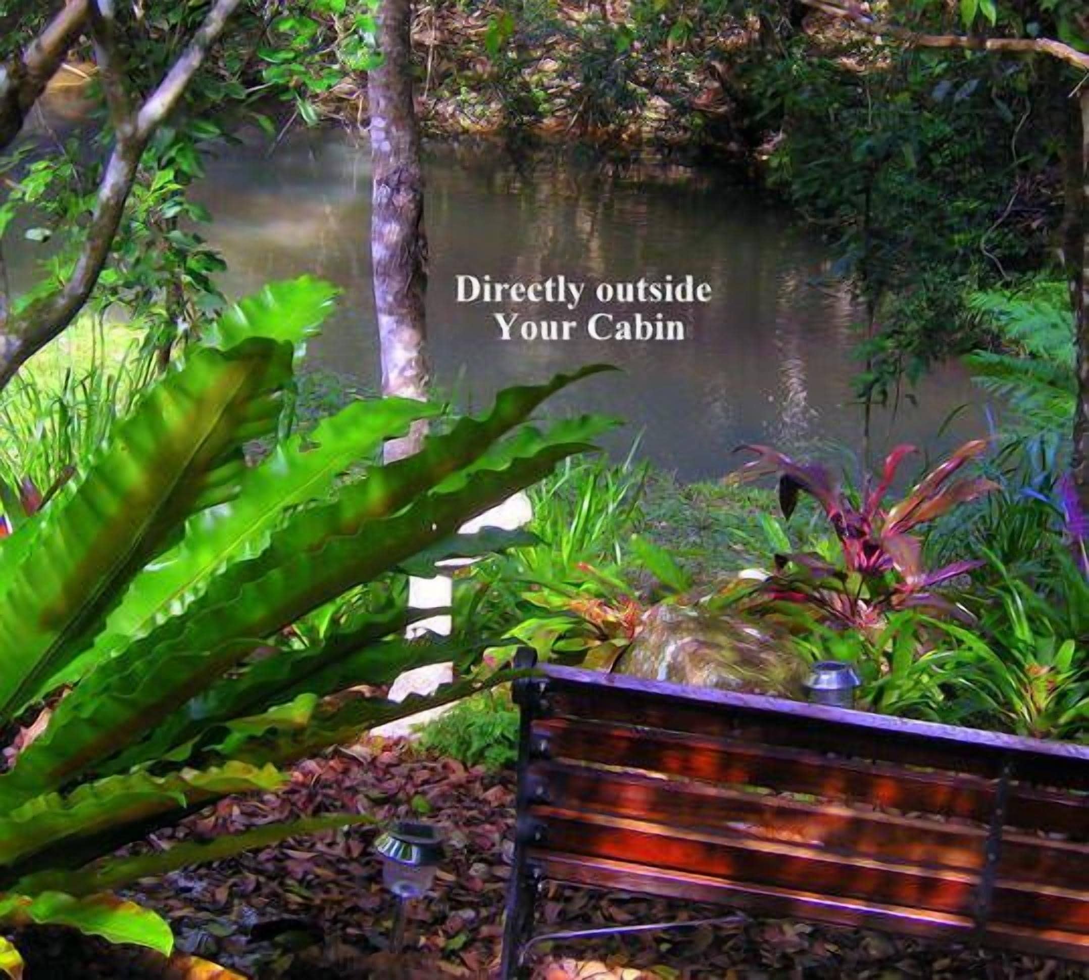 Waterfall Hideout-Rainforest Cabin for Couples