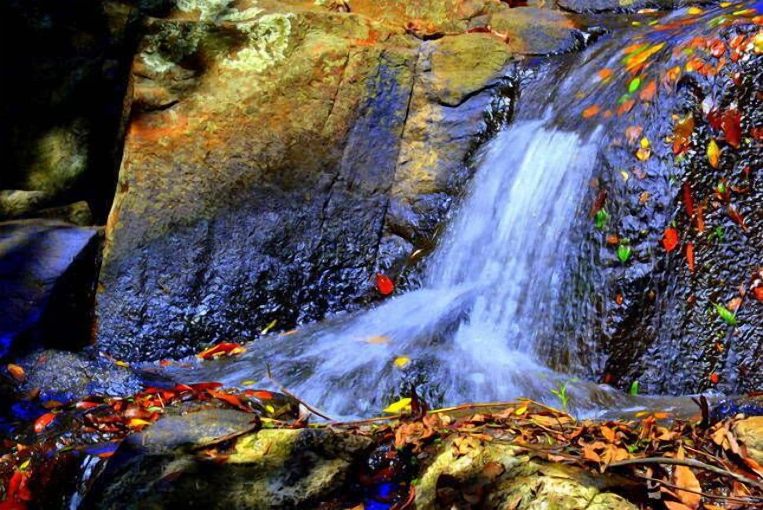 Waterfall Hideout-Rainforest Cabin for Couples