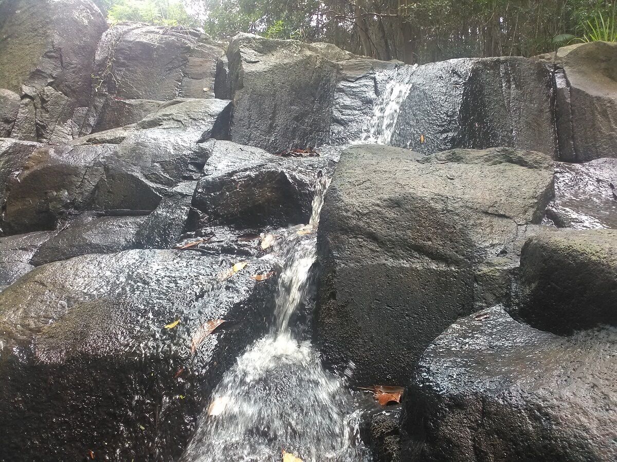 Waterfall Hideout-Rainforest Cabin for Couples