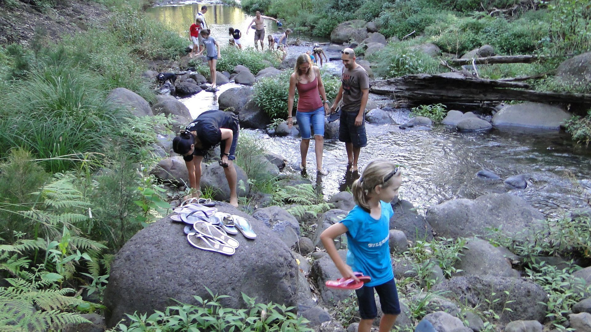 Sine Cera Rainforest Retreat