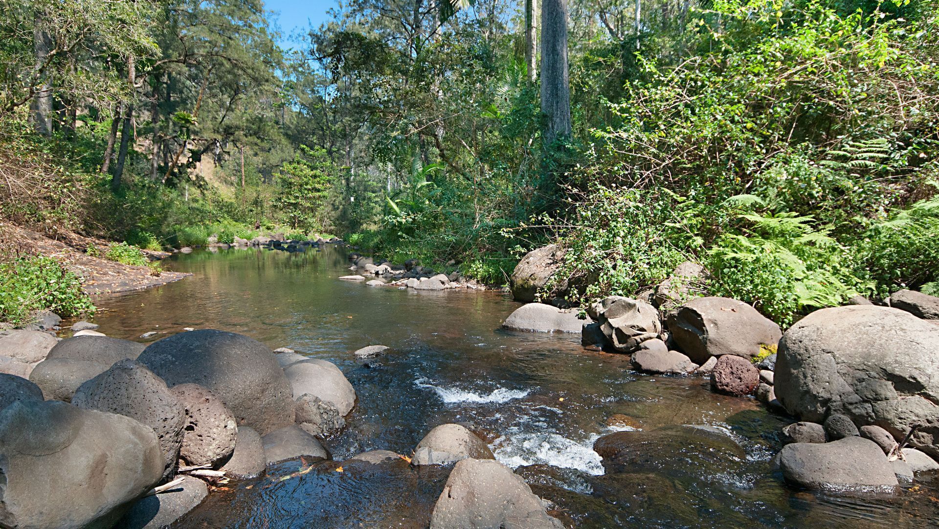 Sine Cera Rainforest Retreat