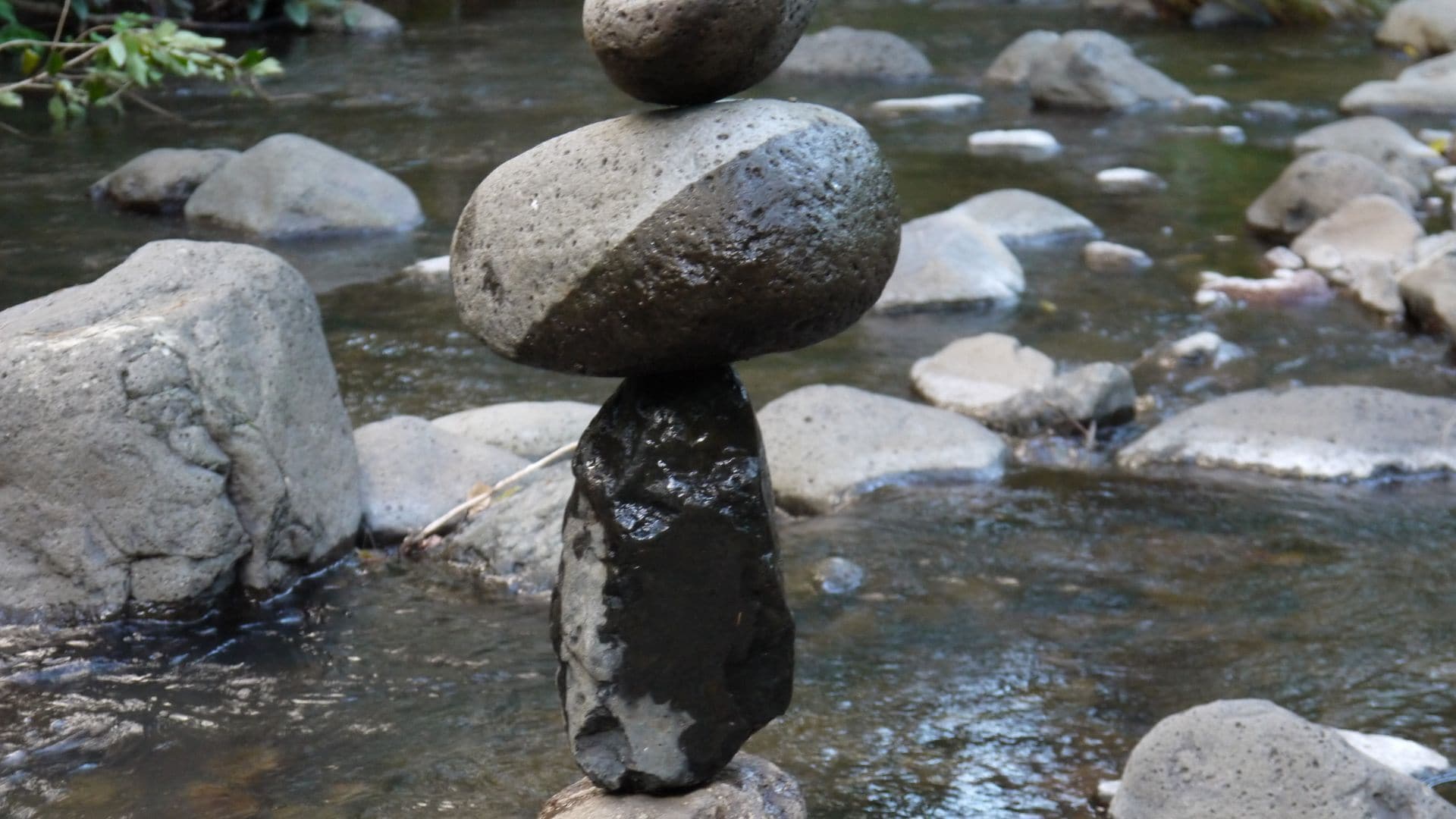 Sine Cera Rainforest Retreat