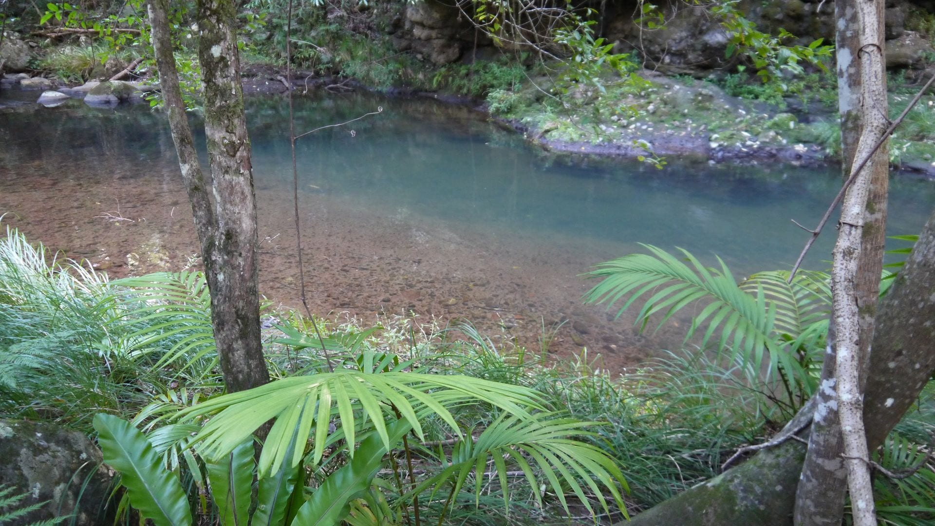 Sine Cera Rainforest Retreat