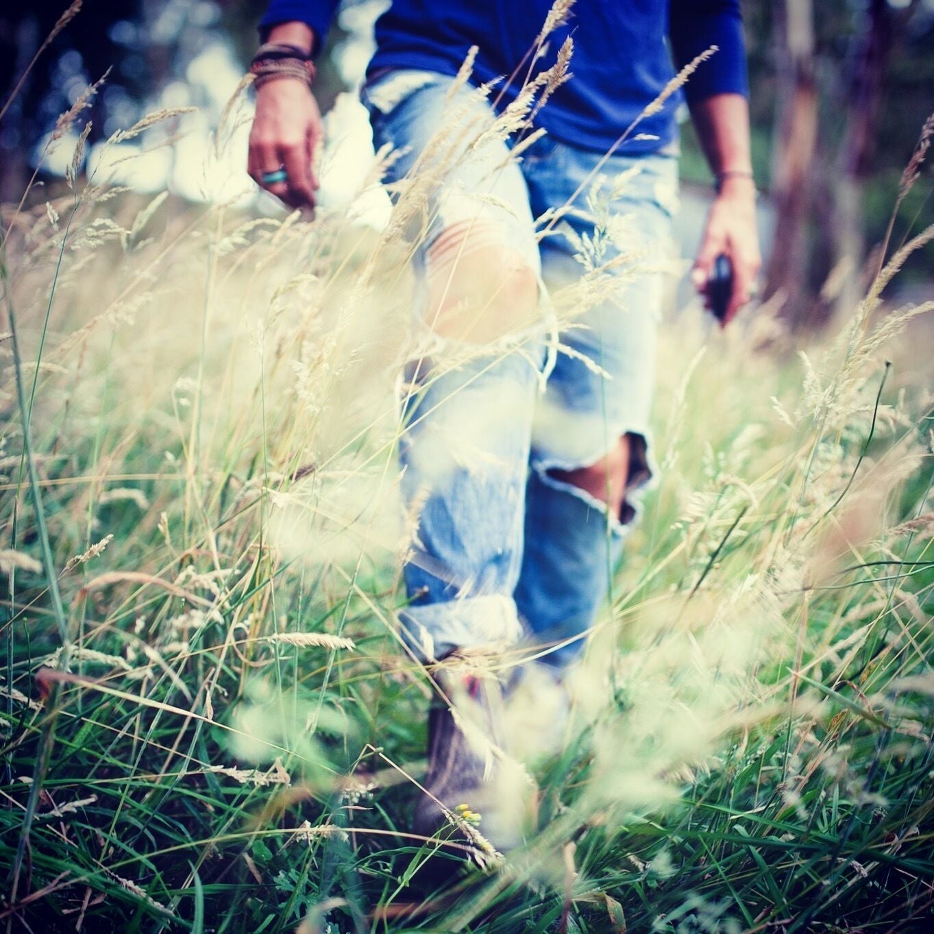 Hernani Wilderness Hut: WeilHouse Living