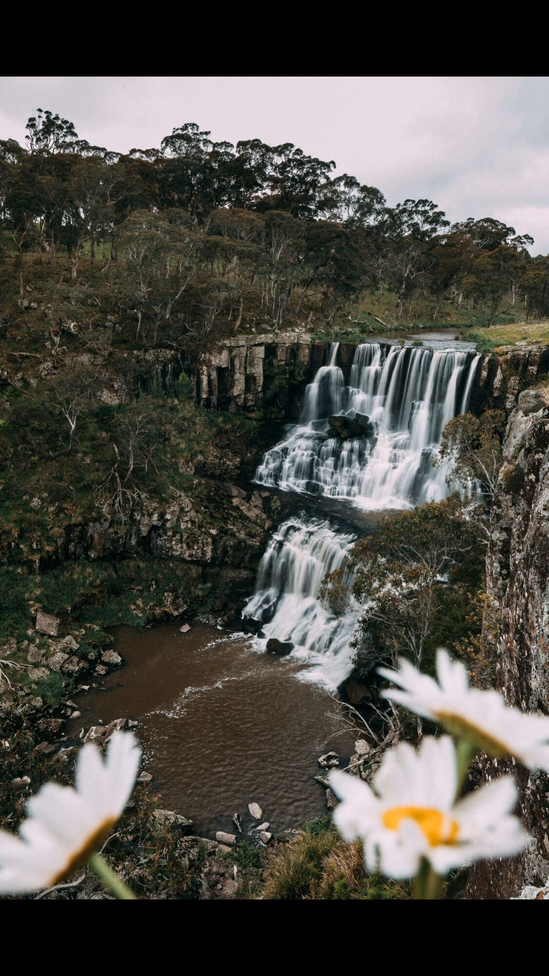 Hernani Wilderness Hut: WeilHouse Living