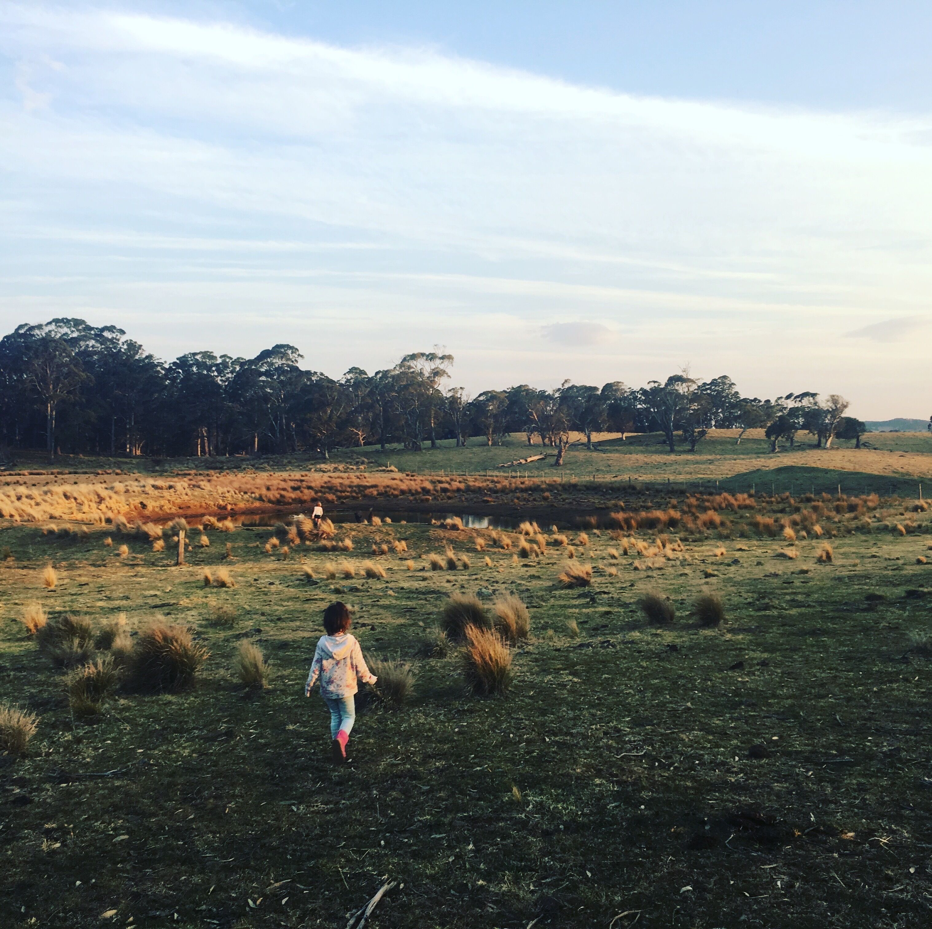 Hernani Wilderness Hut: WeilHouse Living