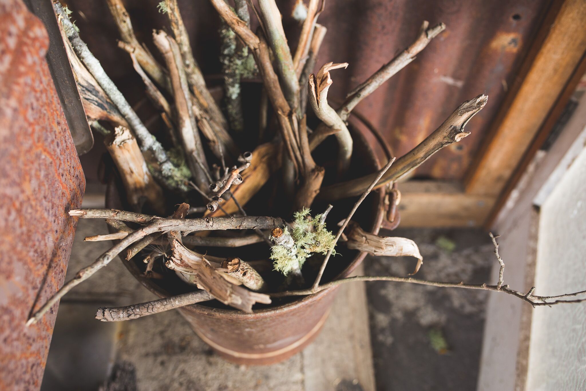 Hernani Wilderness Hut: WeilHouse Living