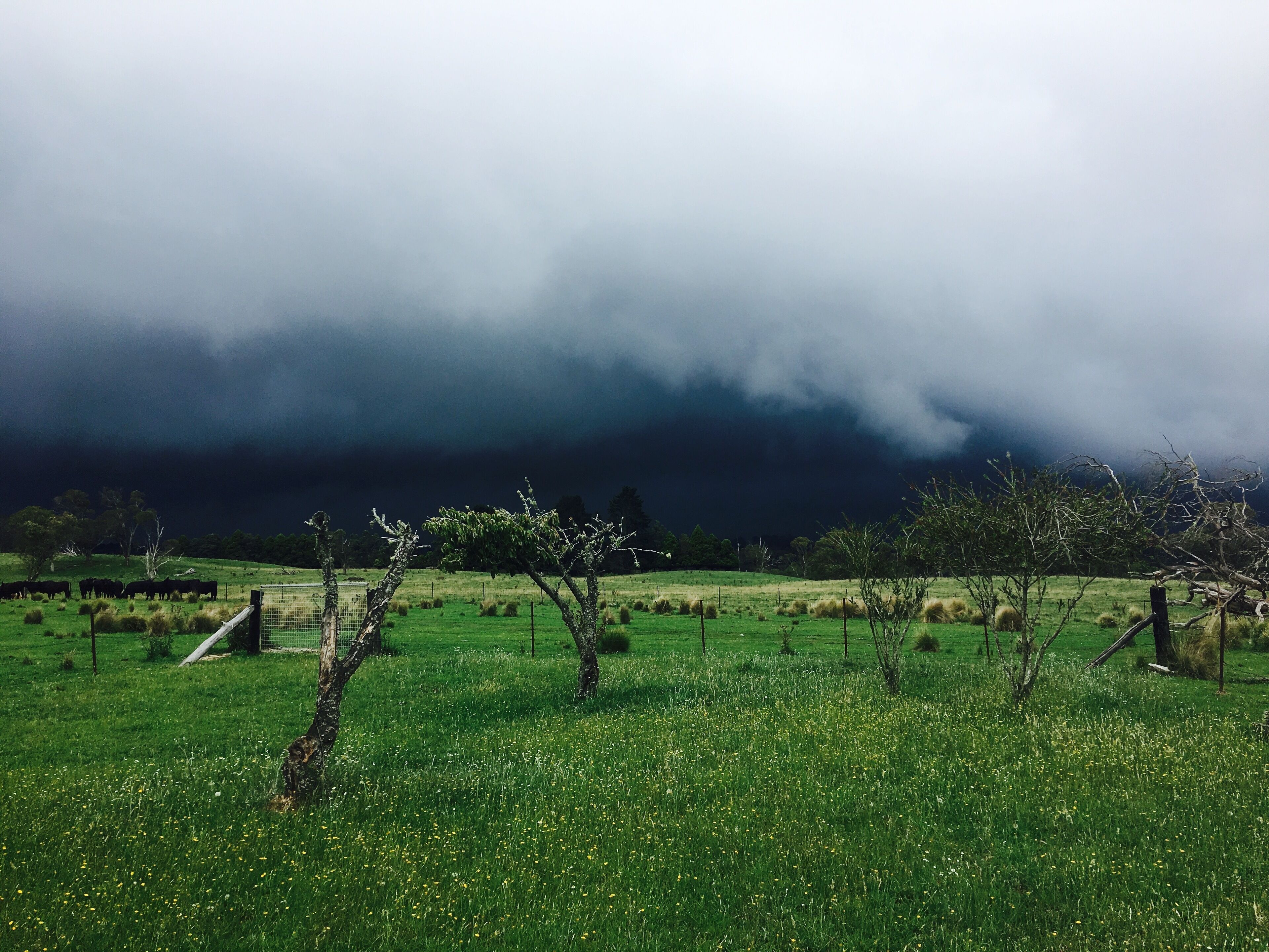 Hernani Wilderness Hut: WeilHouse Living