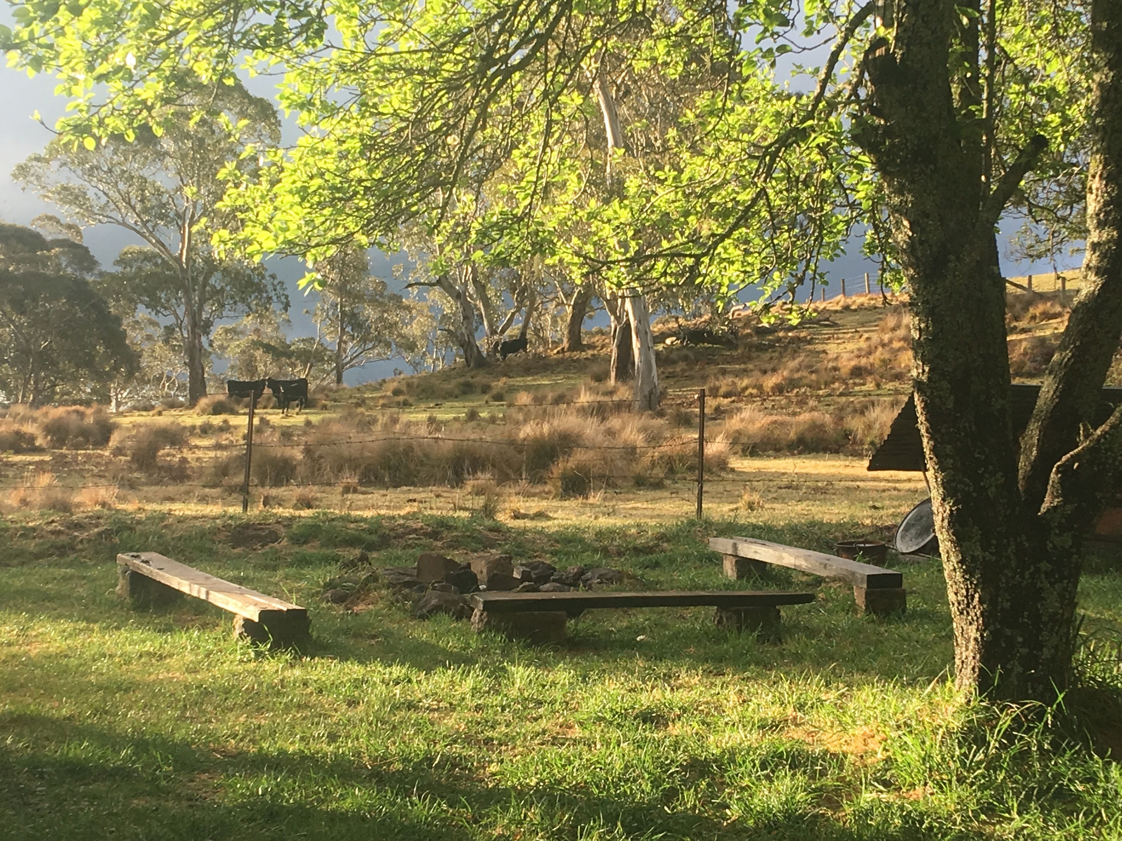 Hernani Wilderness Hut: WeilHouse Living