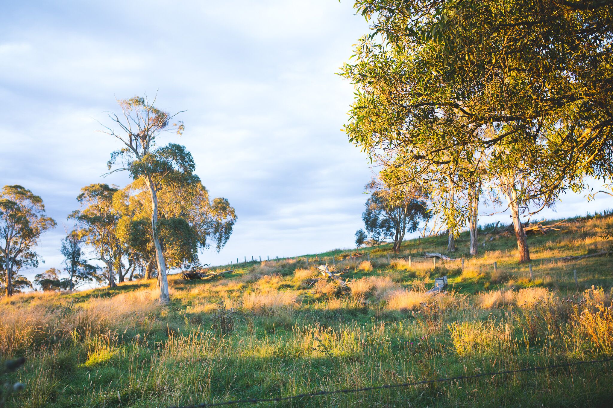 Hernani Wilderness Hut: WeilHouse Living