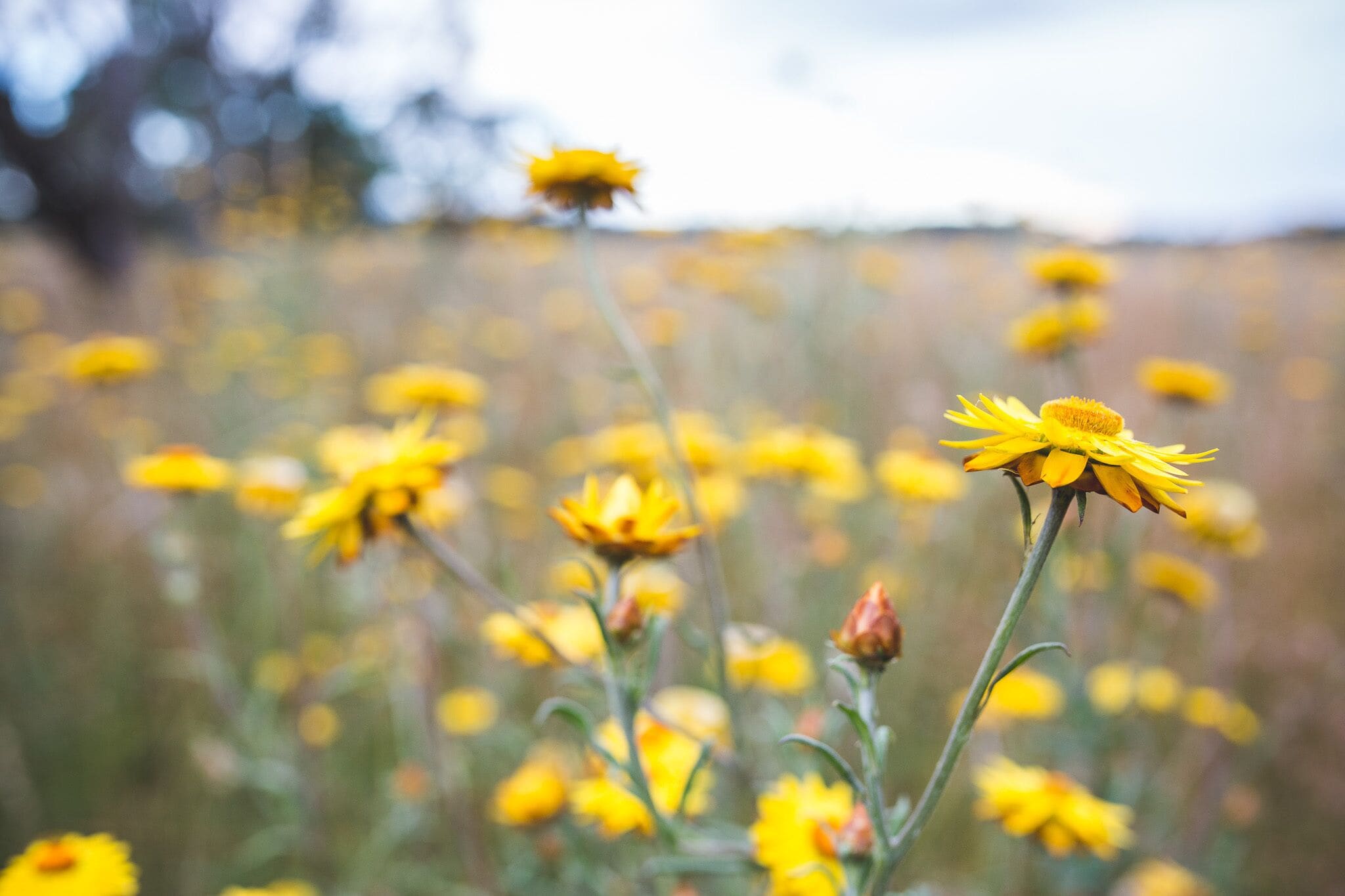 Hernani Wilderness Hut: WeilHouse Living