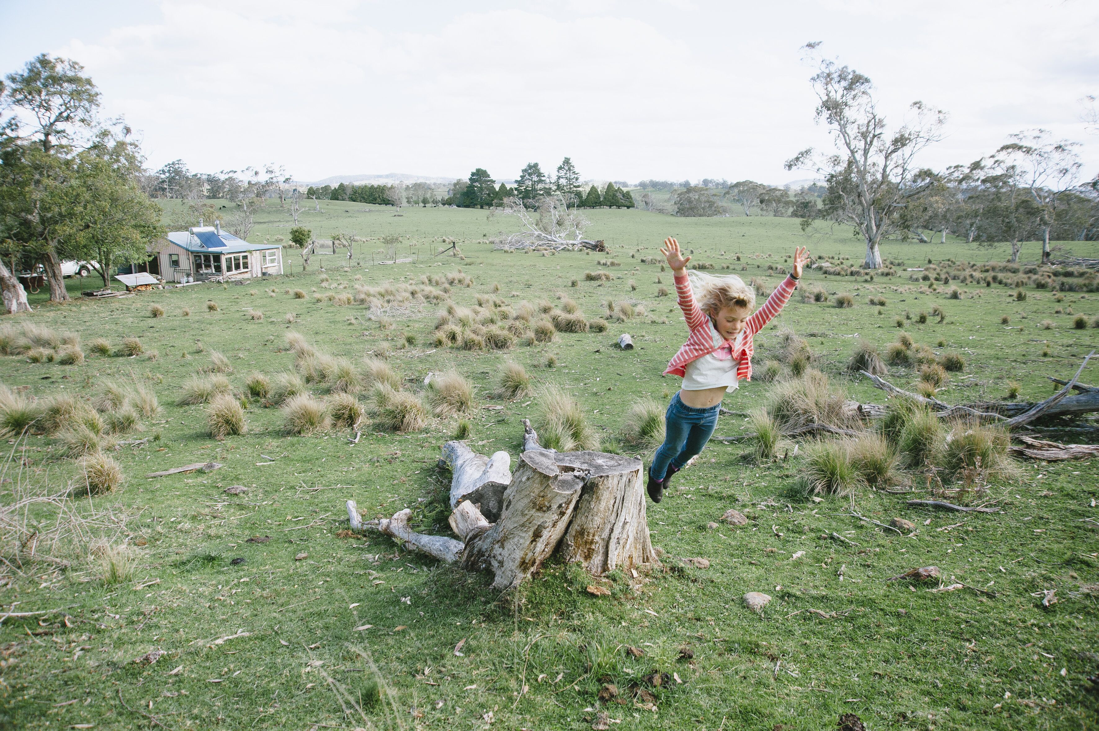 Hernani Wilderness Hut: WeilHouse Living