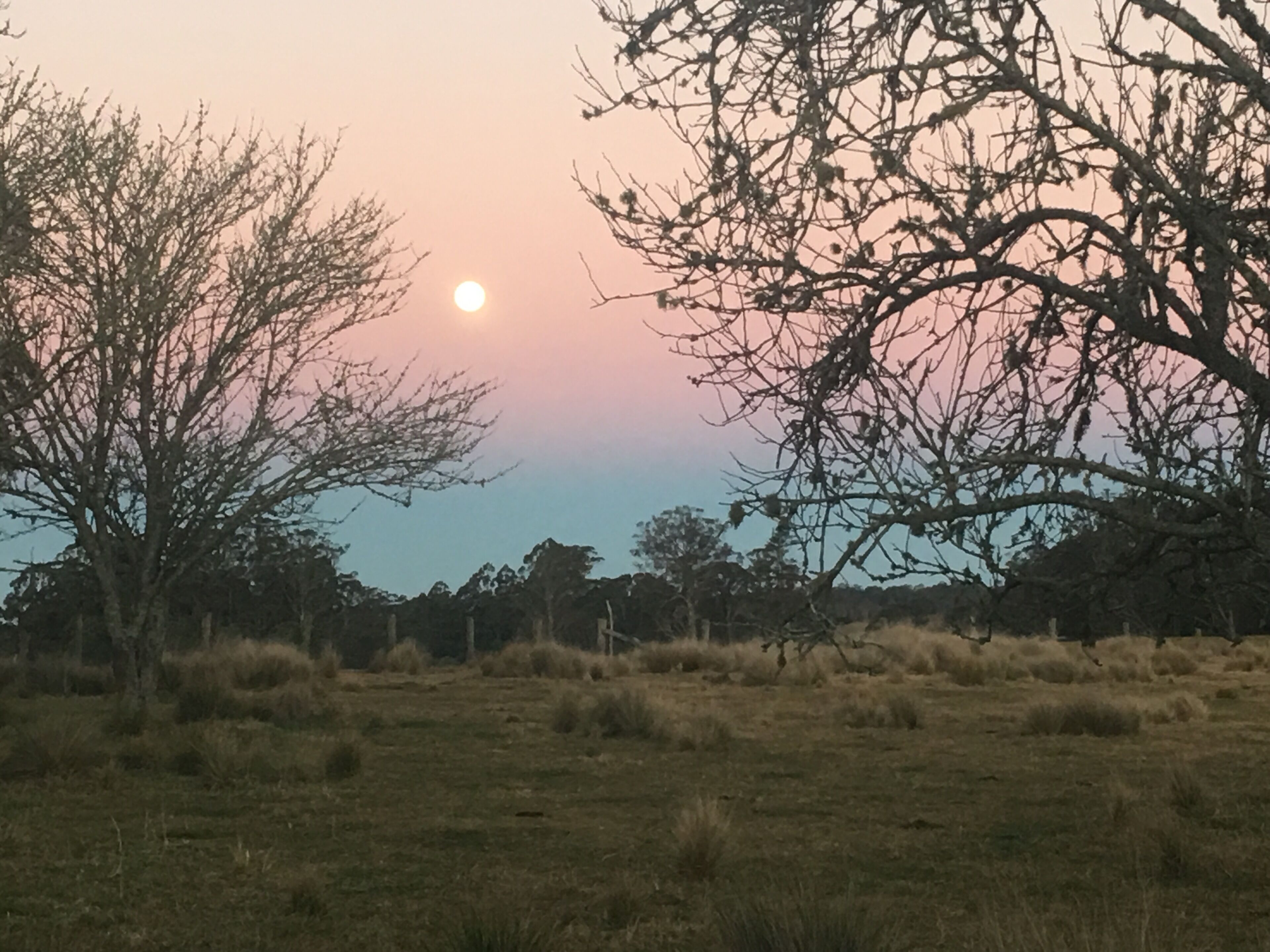 Hernani Wilderness Hut: WeilHouse Living