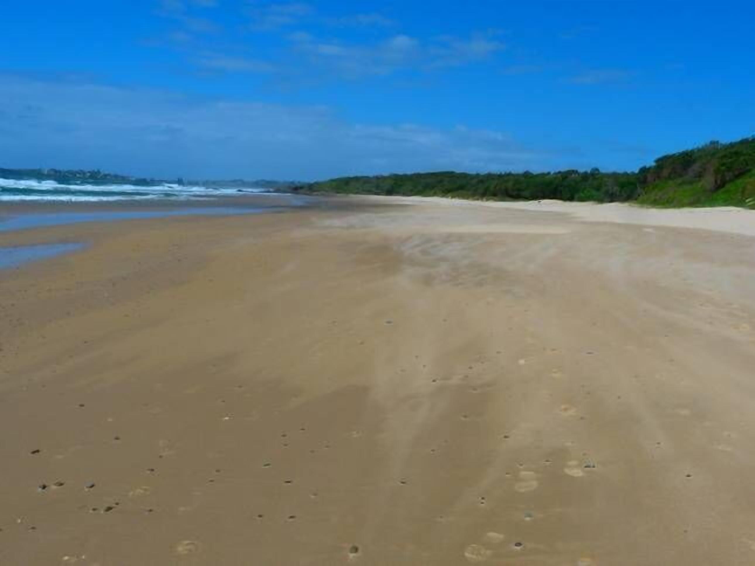 Mullaway Cabins Plantation