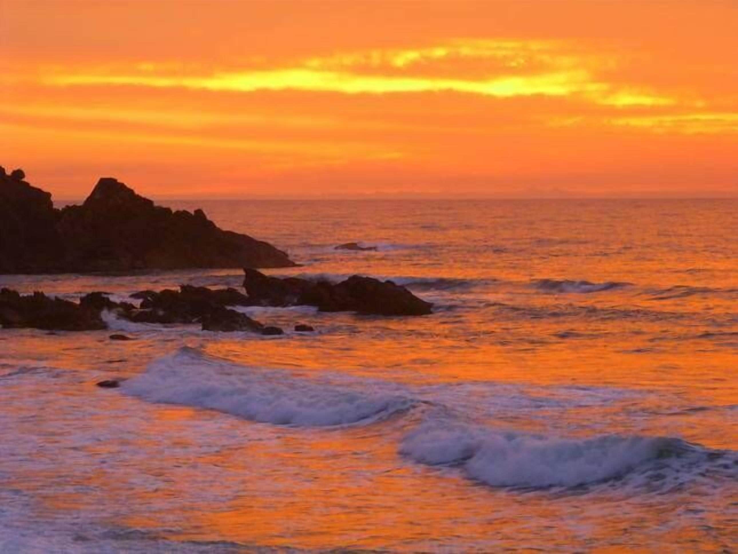 Mullaway Cabins Plantation