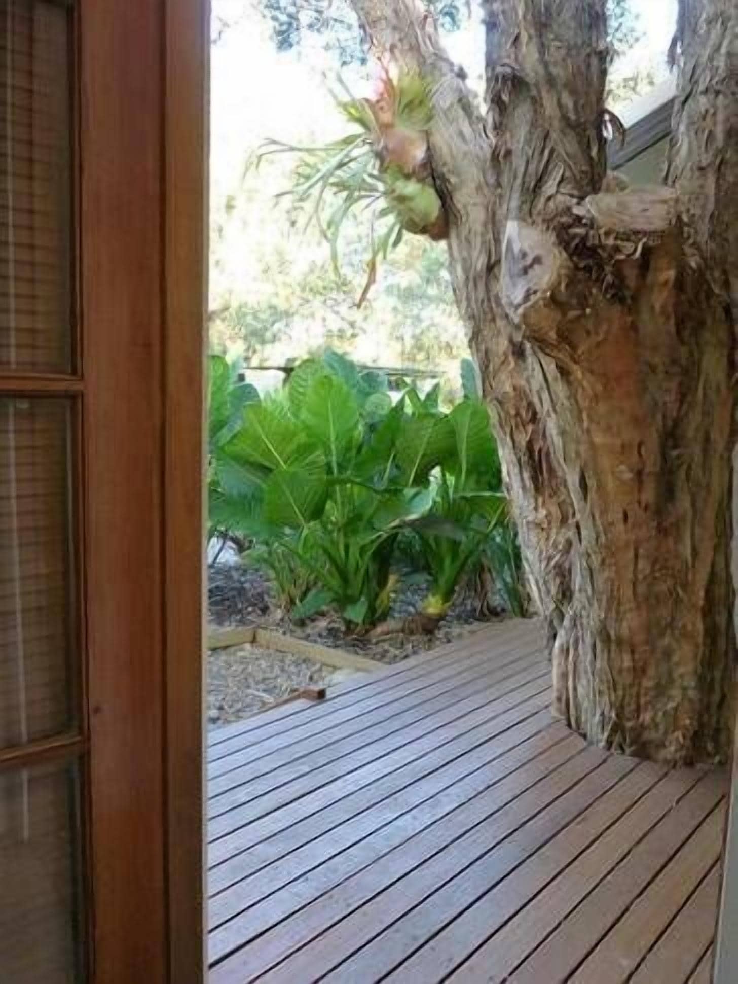 Mullaway Cabins Plantation