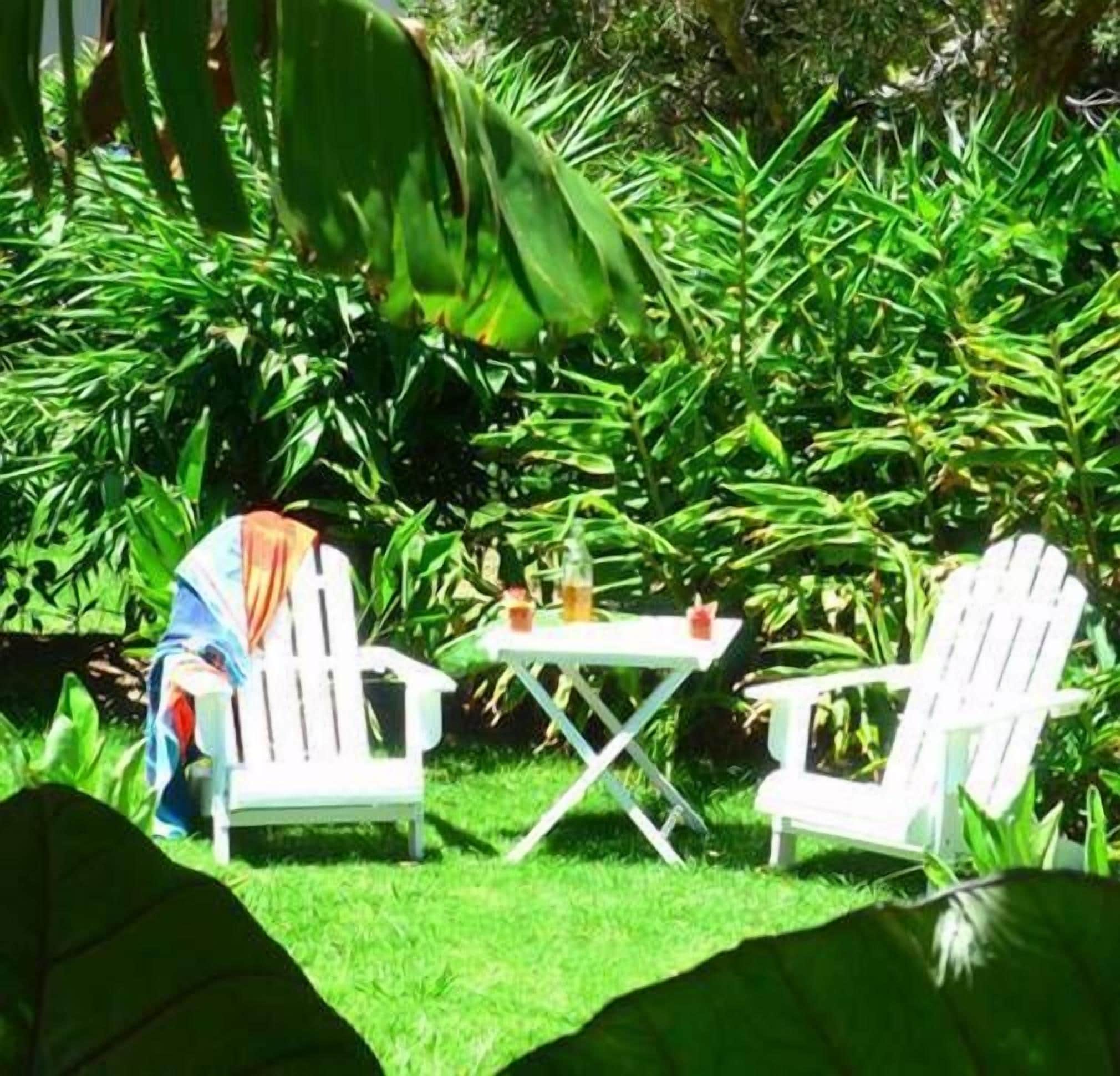 Mullaway Cabins Plantation